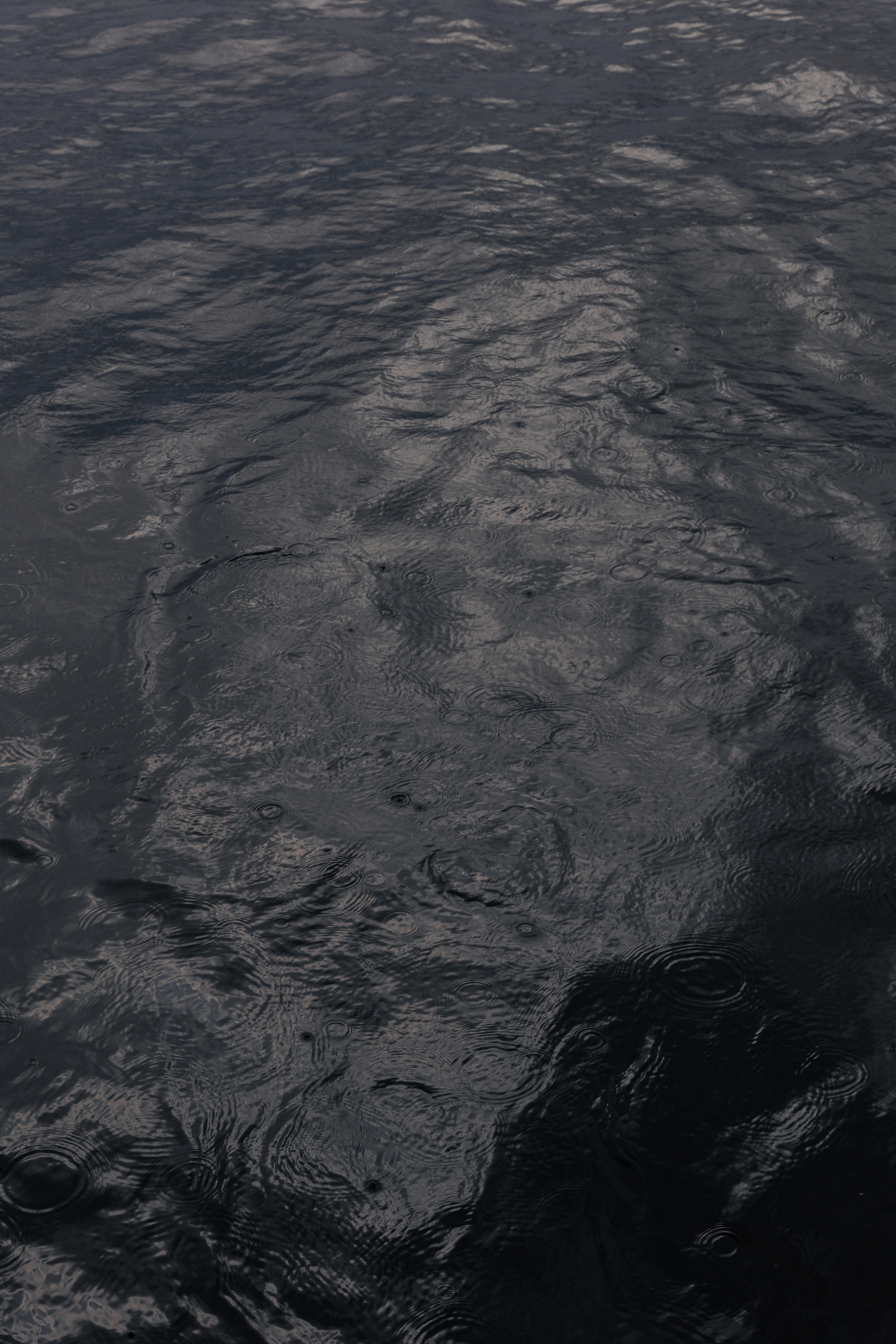 Андрей и Катя. @dariazphoto свадебный фотограф