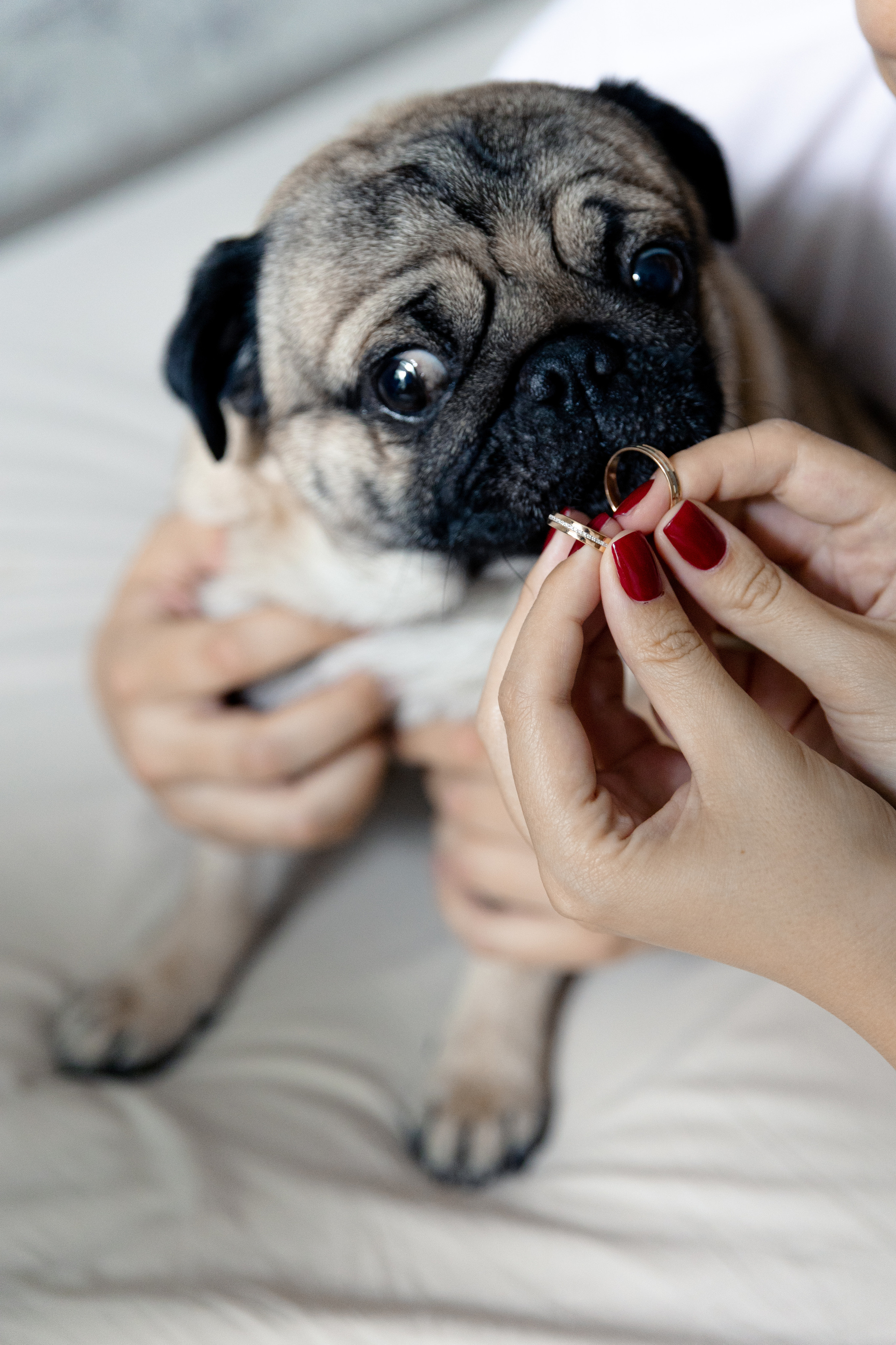Алексей и Инна. @dariazphoto свадебный фотограф