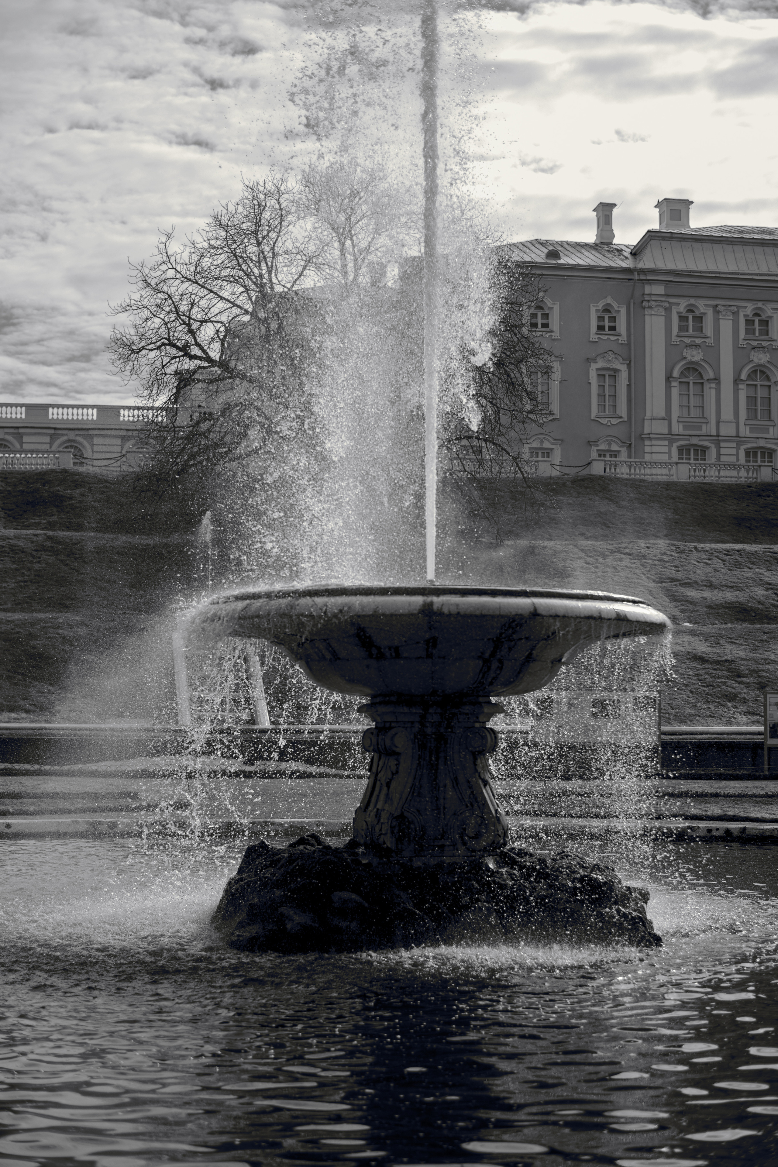 I. @dariazphoto свадебный фотограф