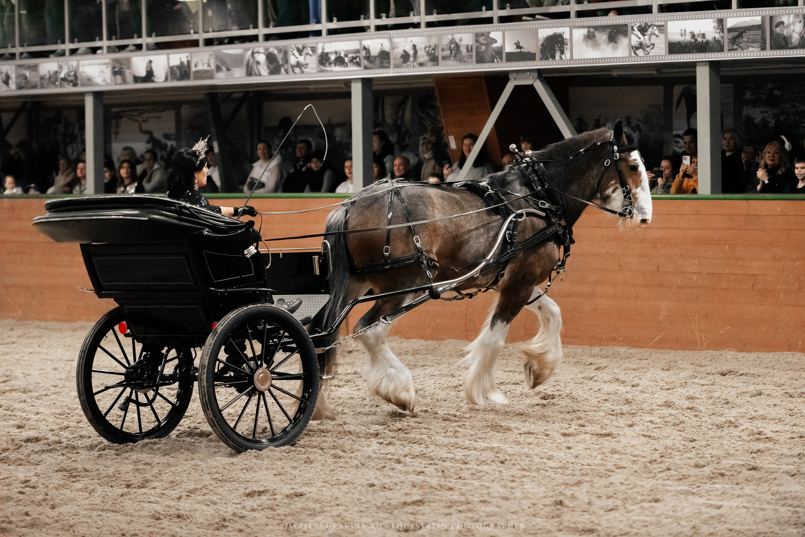 Конное представление «Дыхание Звёзд». Конный фотограф Куракина Дарья • Фотосессии с лошадьми