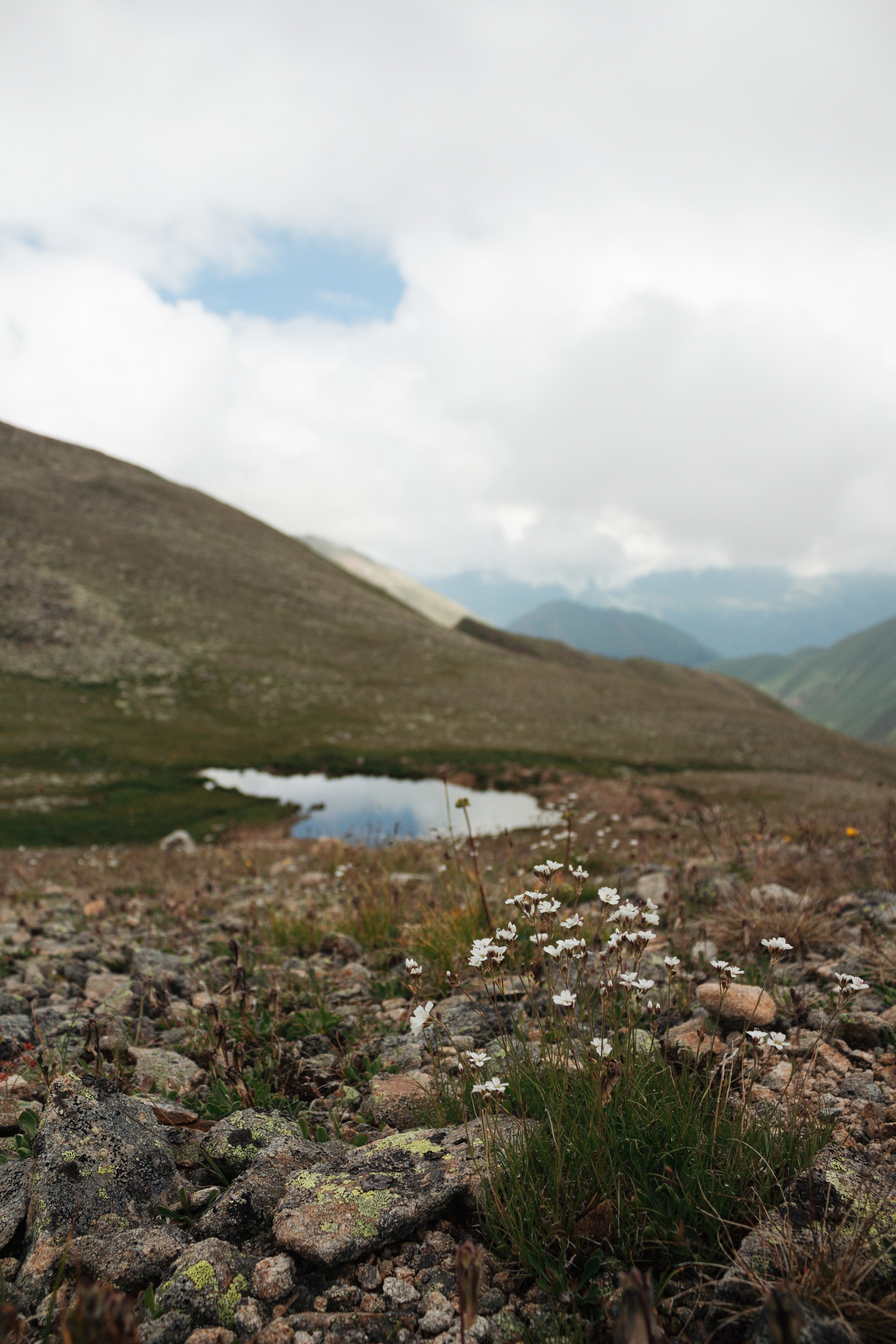 Фото сопровождение туров. Фотограф в Ростове-на-Дону и по всему миру Веникова Ольга