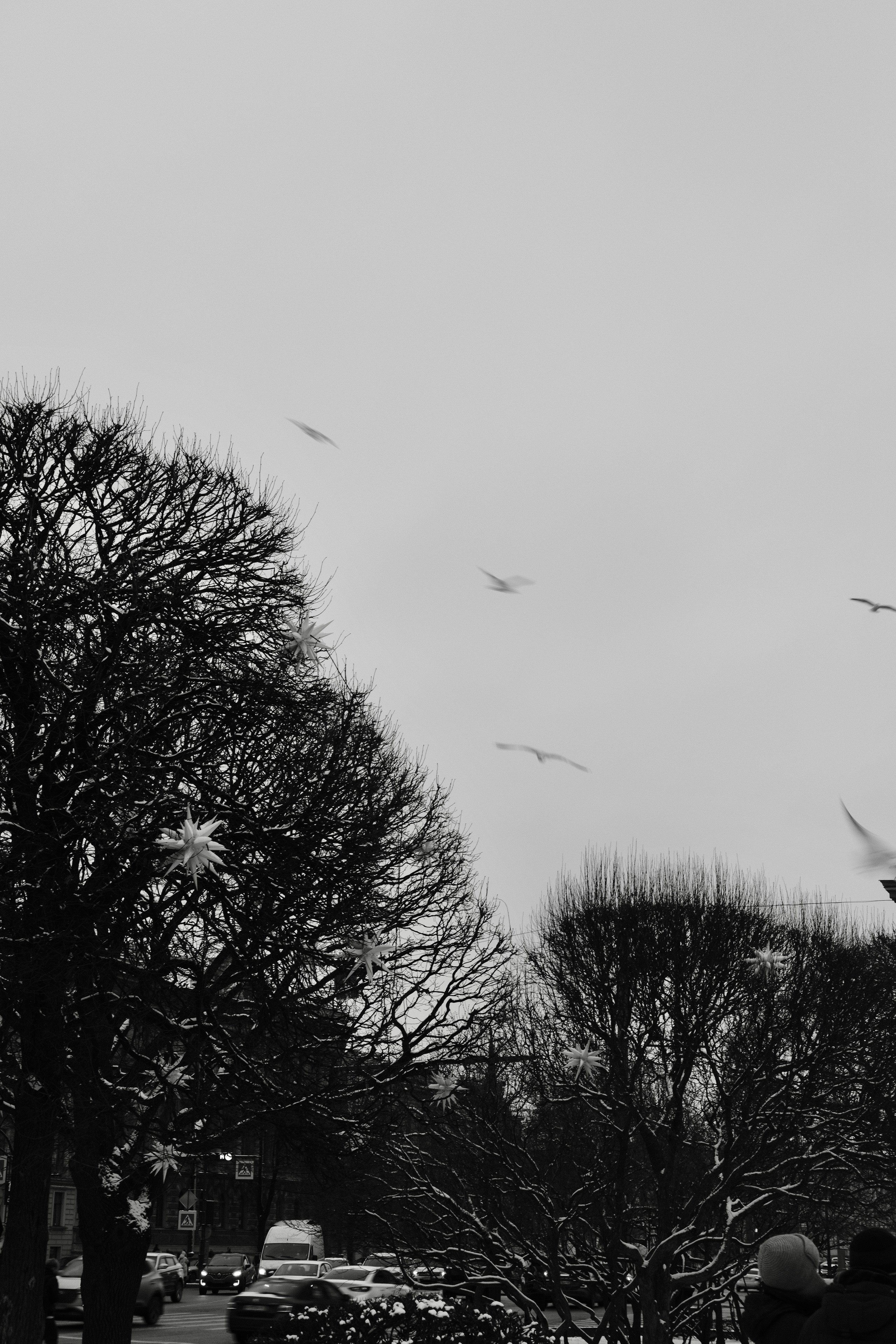 Санкт-Петербург. BELABONKA