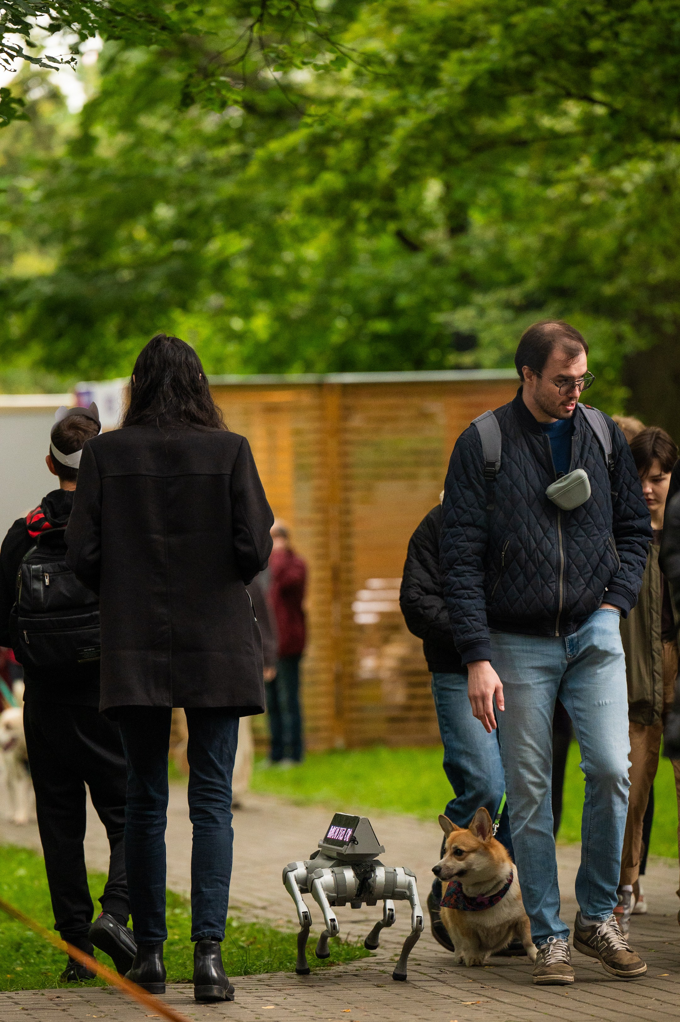 4lapy fest 2025. Photographer in Moscow Anna Chistiakova