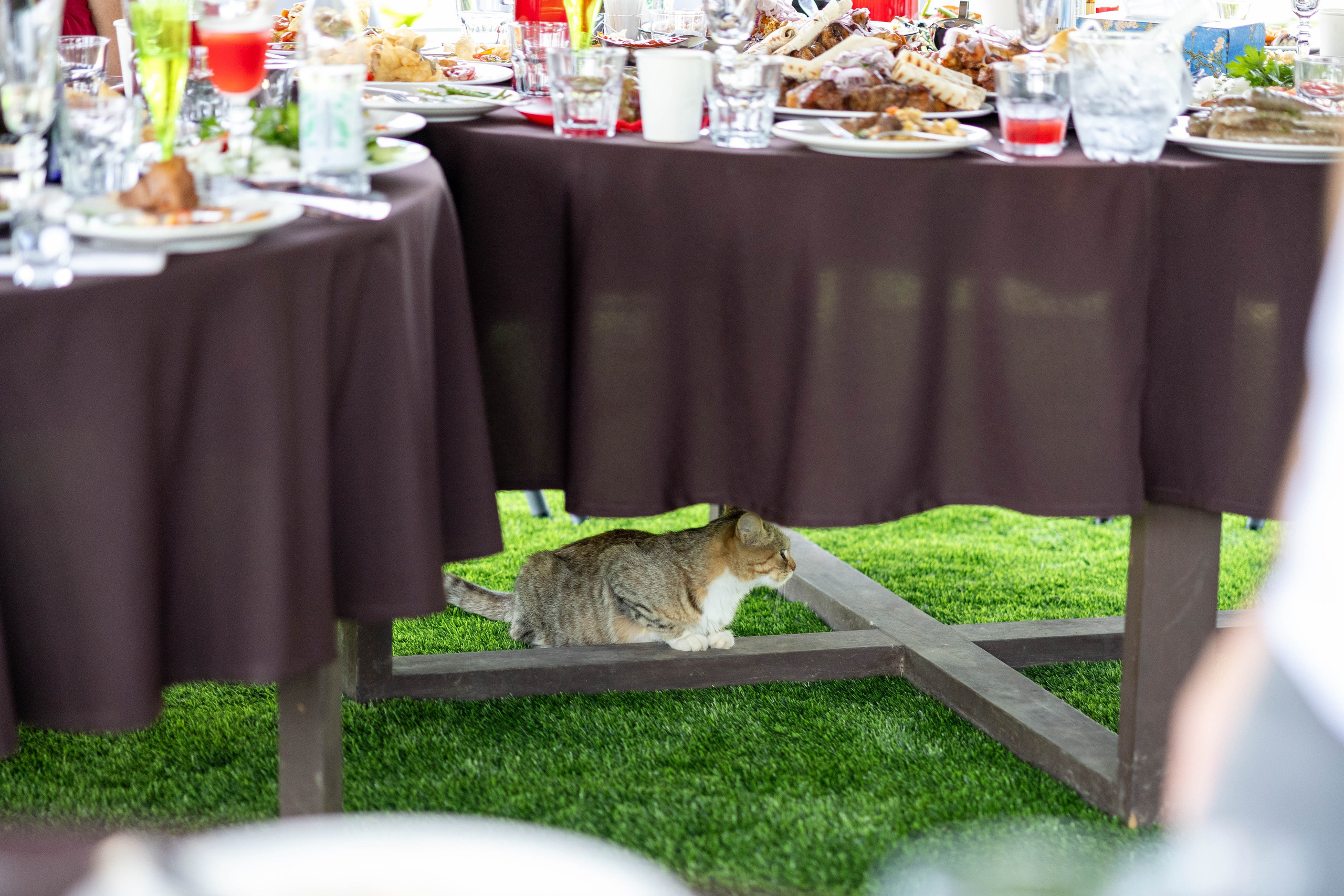 Корпоратив УК ЖКИ. Репортажный и портретный фотограф в Владивостоке