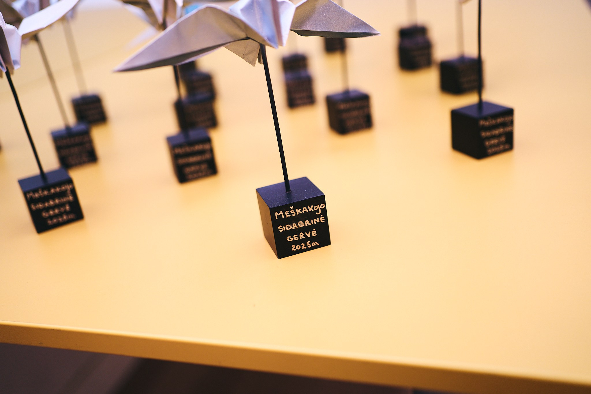 Meškakojo Kalėdos. Photographer in Vilnius