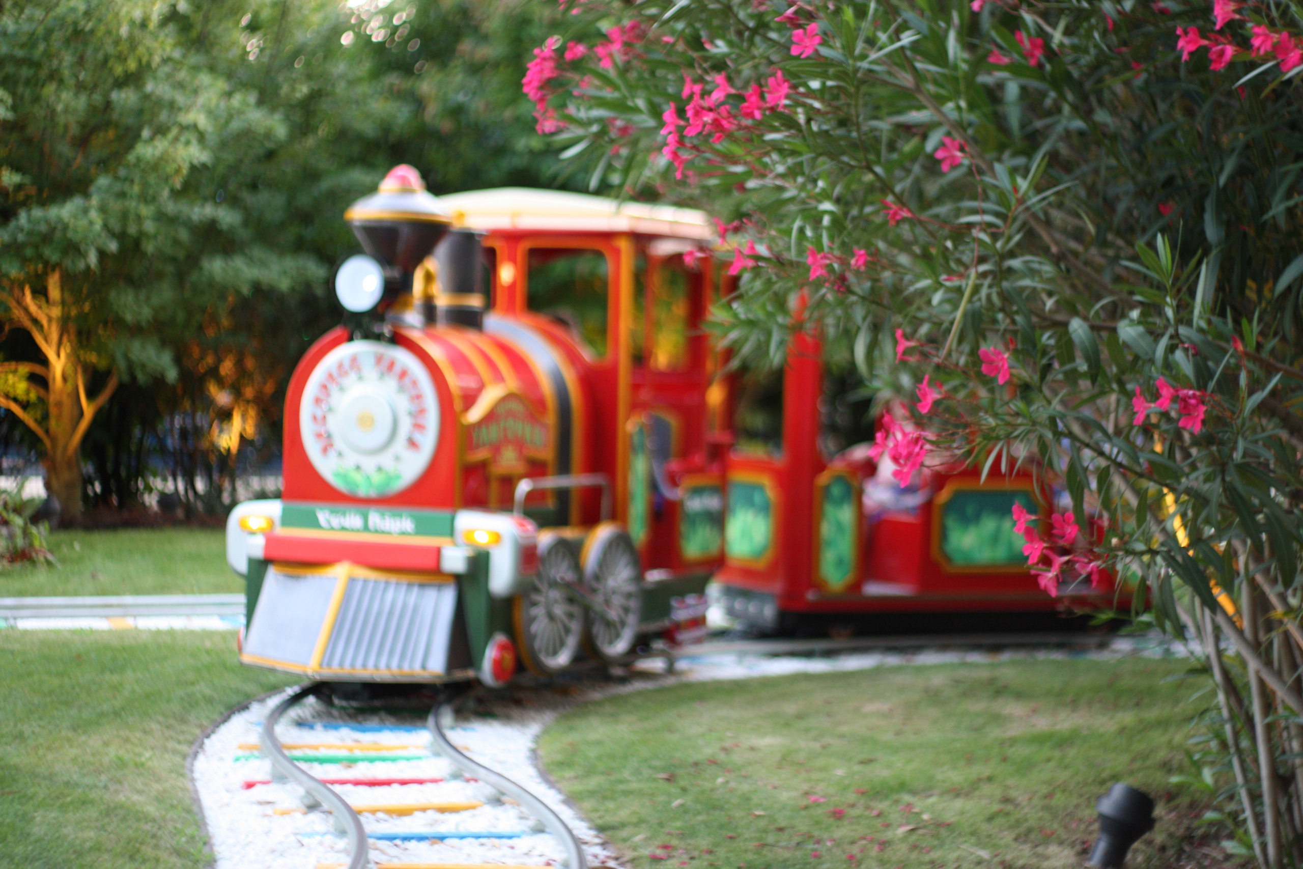 Первые кадры. Сочи — парк. Фотограф Роман Адлер