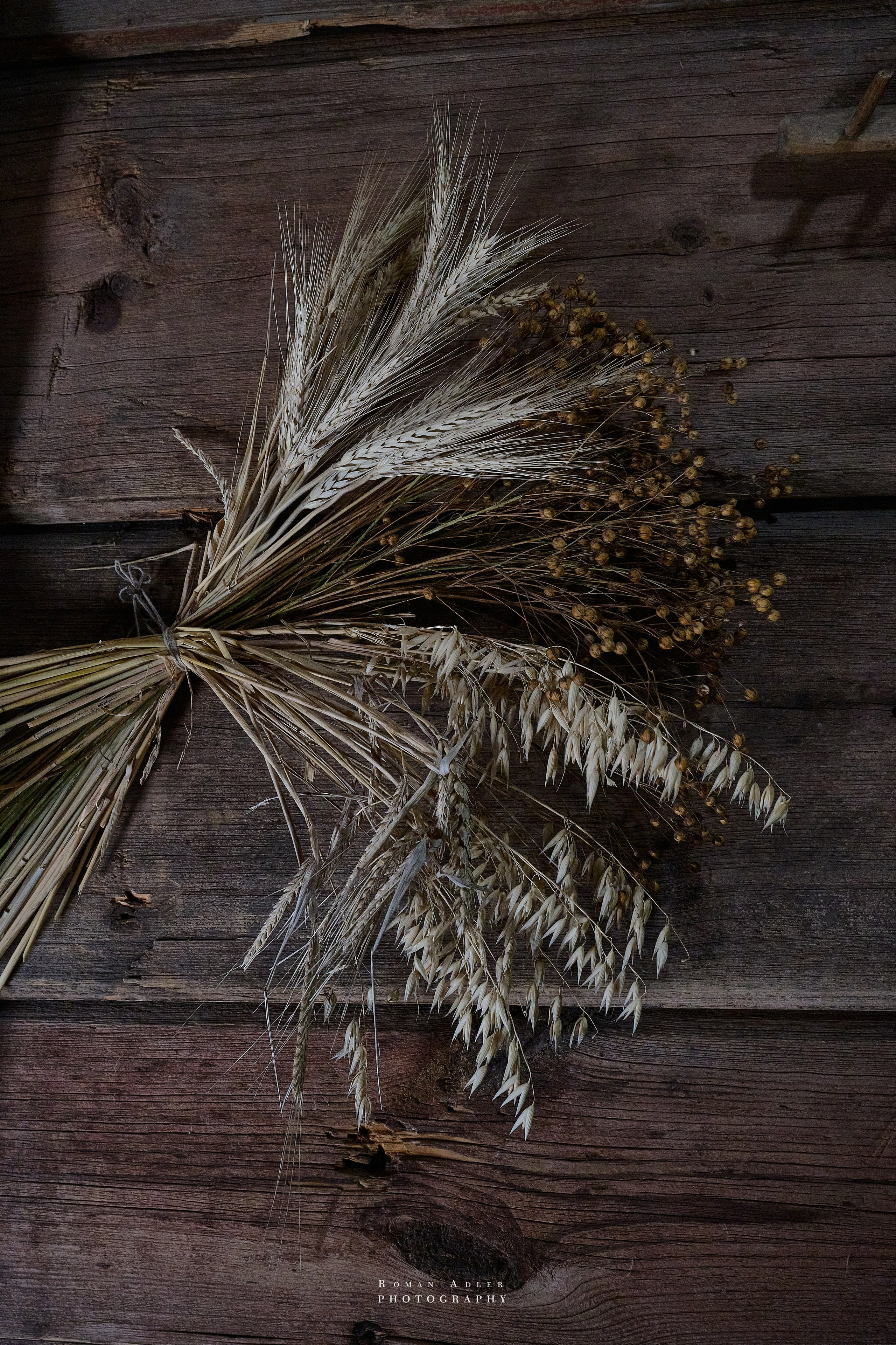 Суздаль. Июнь 2025. Фотограф Роман Адлер