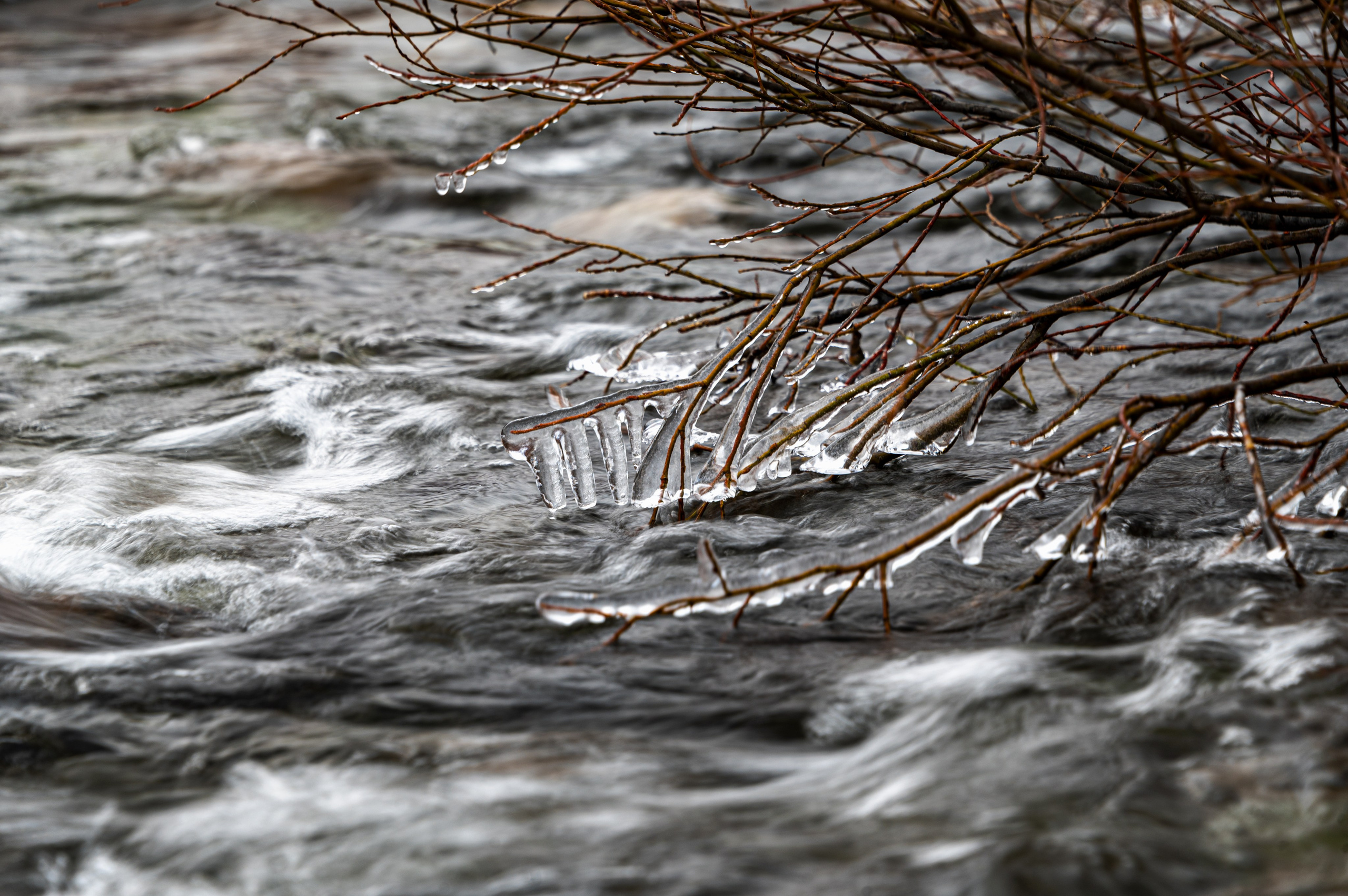 Териберка. Ноябрь 2023. Фотограф Роман Адлер
