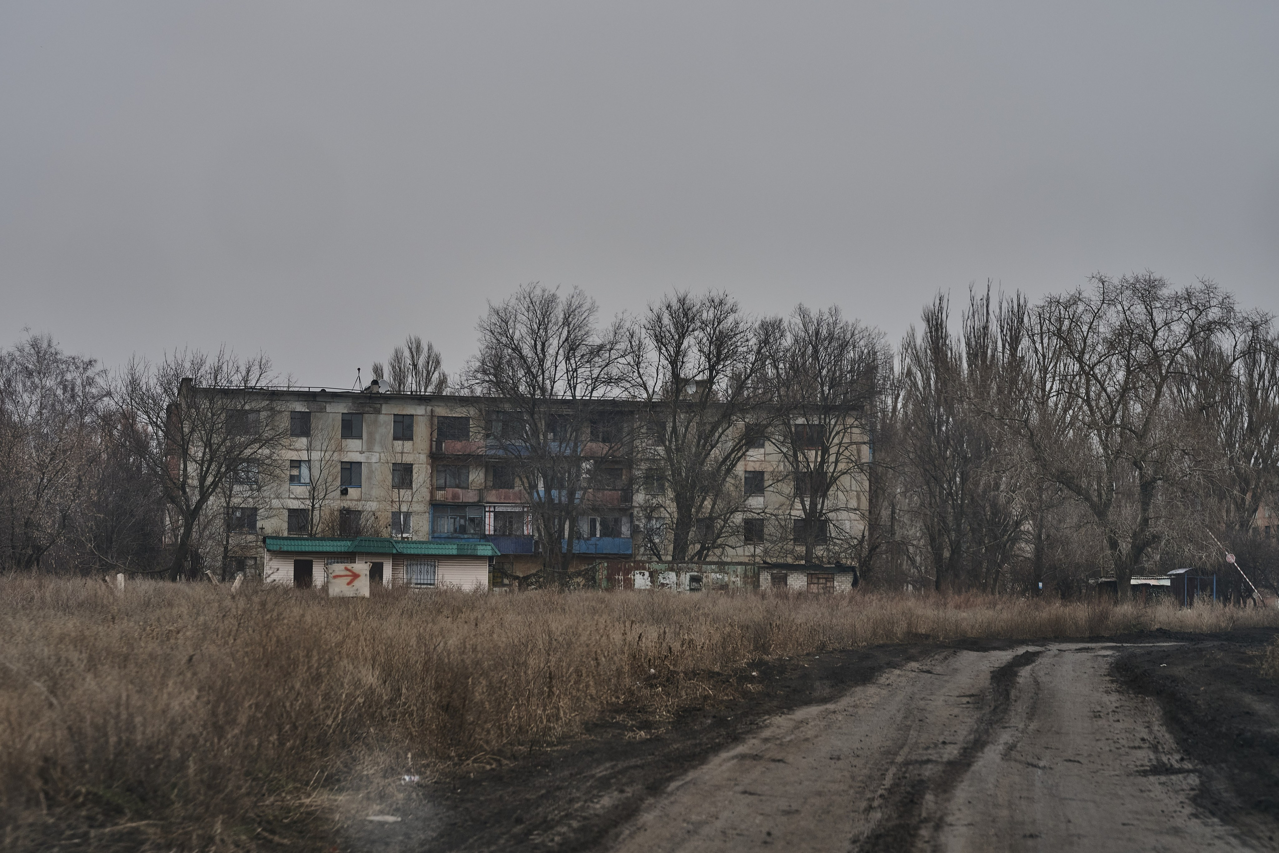 Краснореченское (Луганская область). Ноябрь 2024. Фотограф Роман Адлер