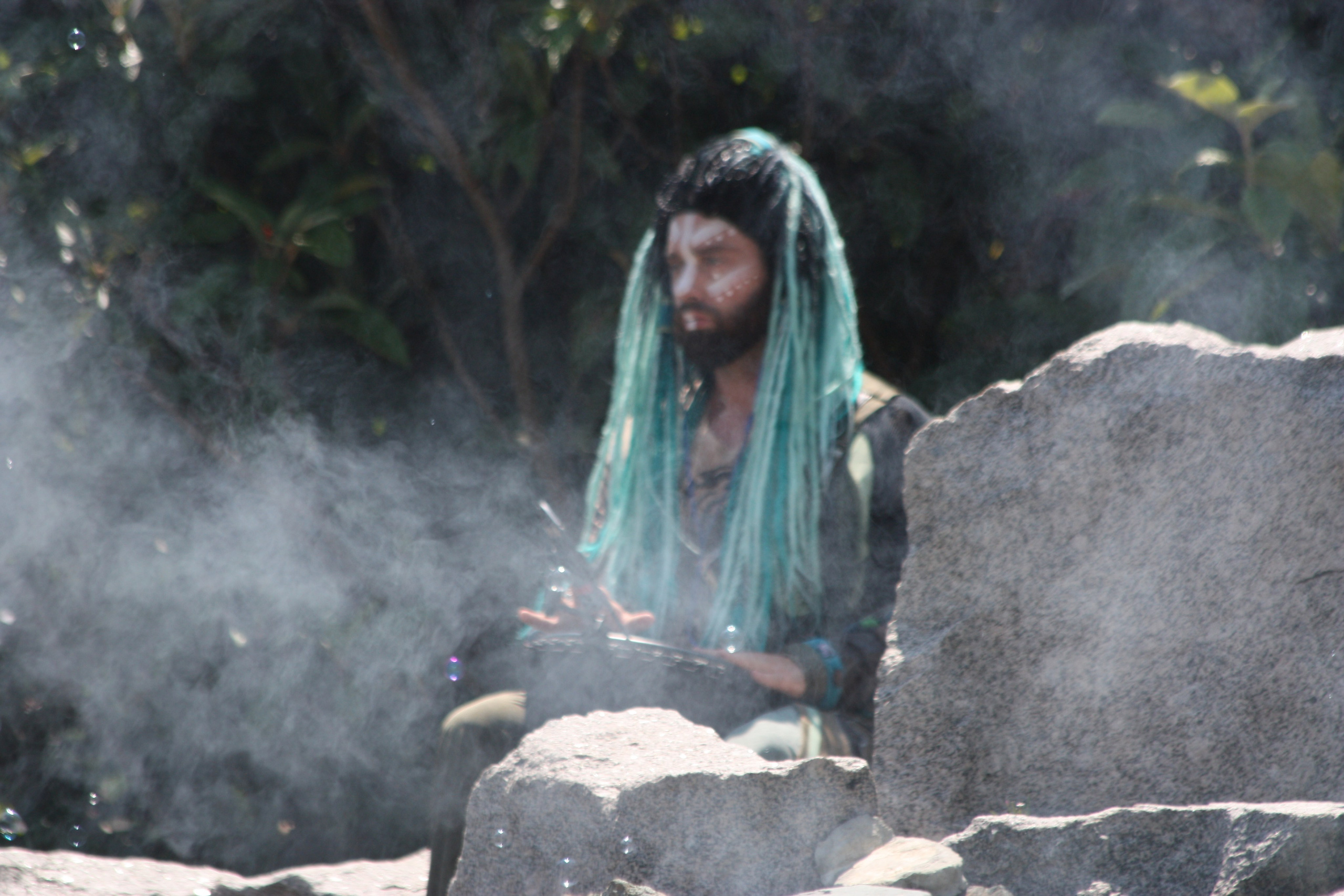 Первые кадры. Сочи — парк. Фотограф Роман Адлер