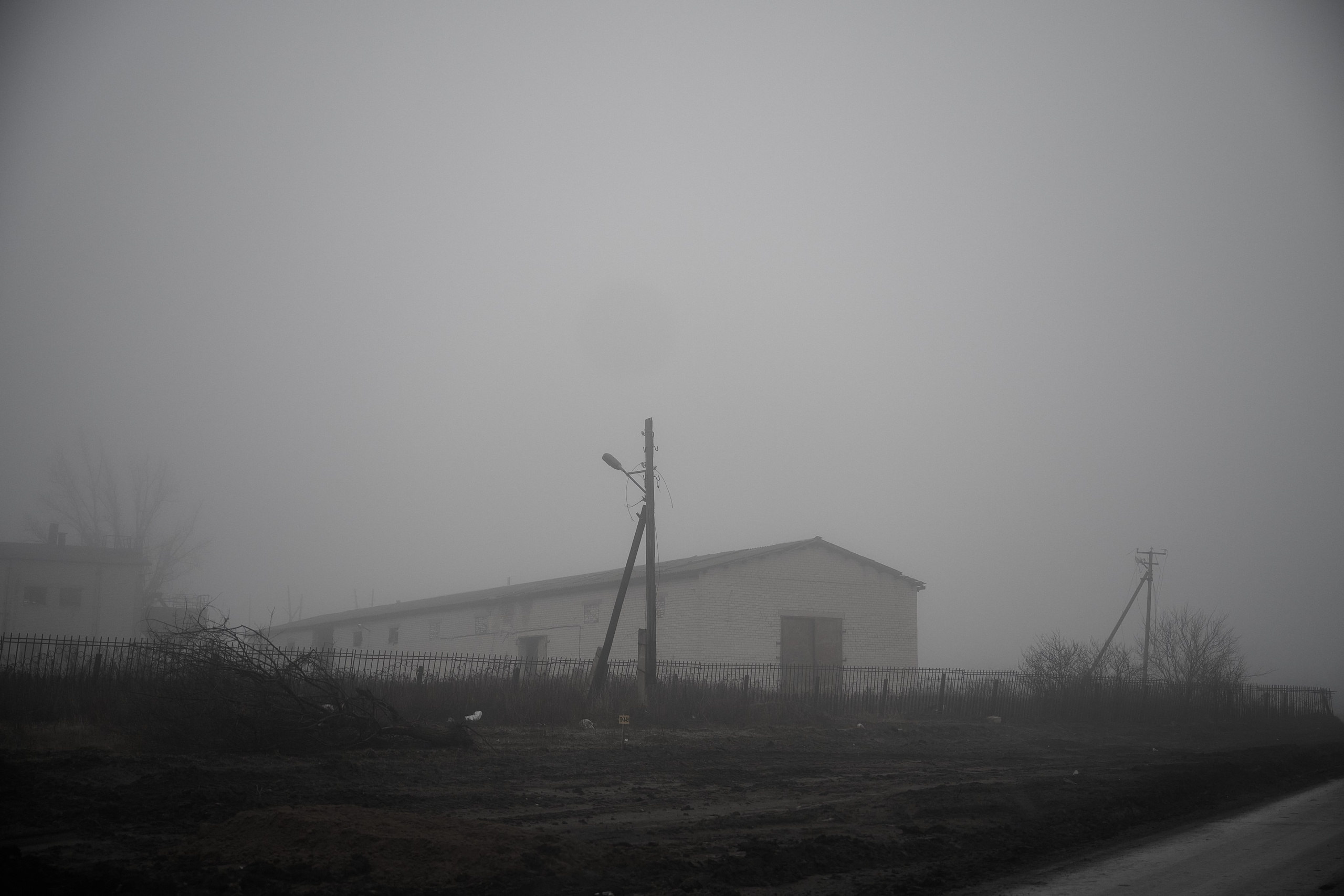 Дорога домой. Туман. Фотограф Роман Адлер