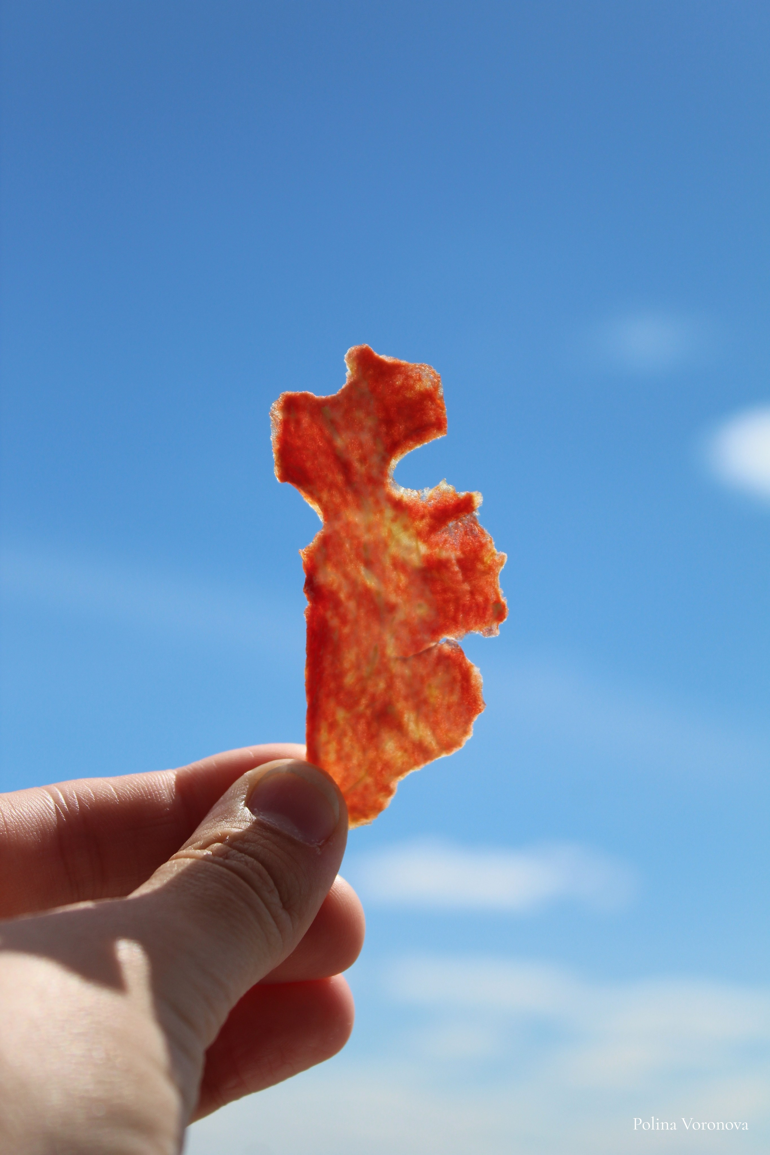 Саратов — город в упадке. Хорошая экспедиция