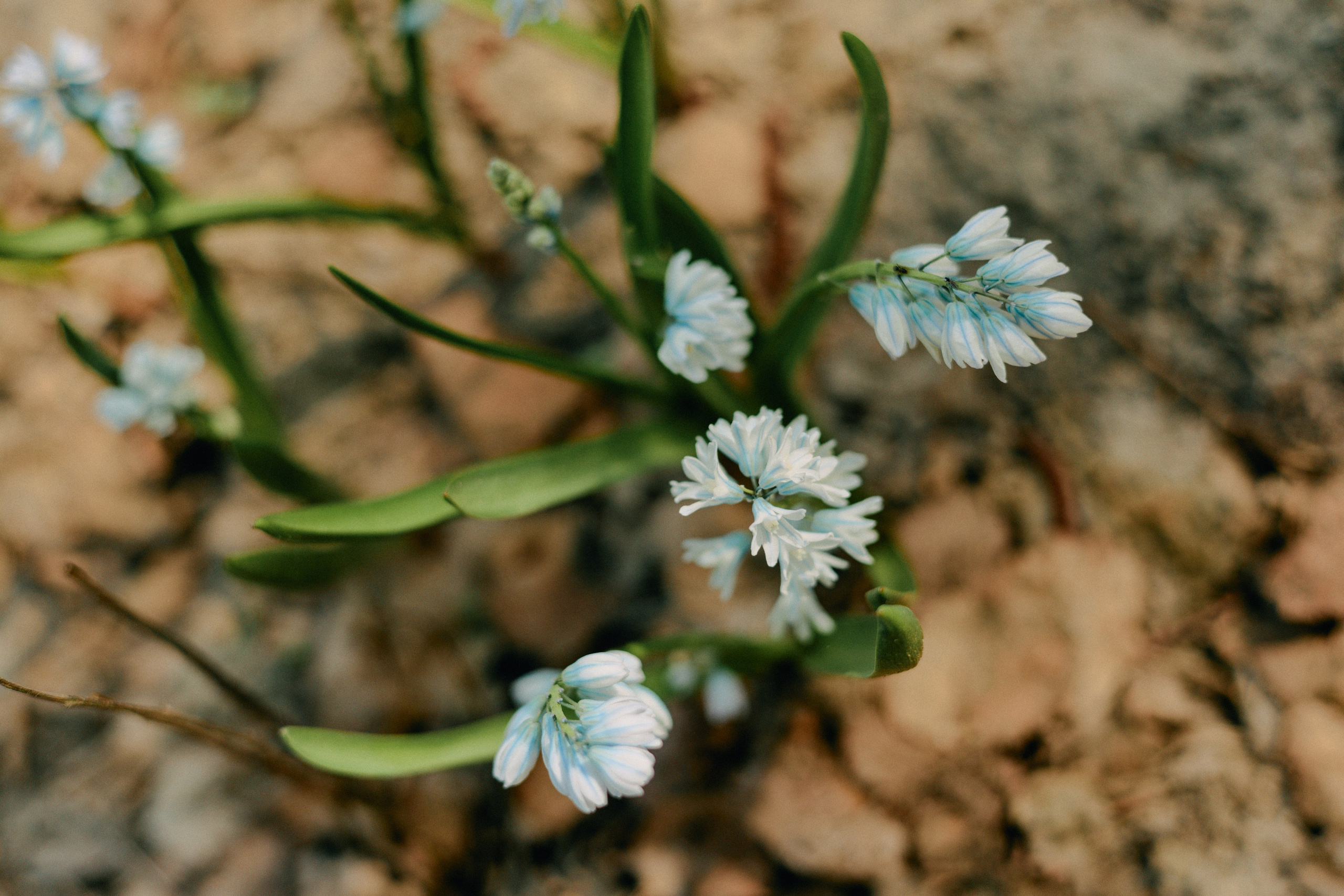 Бутик-отель Поле летом. Профессиональный Фотограф во Владимире, в Москве и в Суздале — Полина Романычева