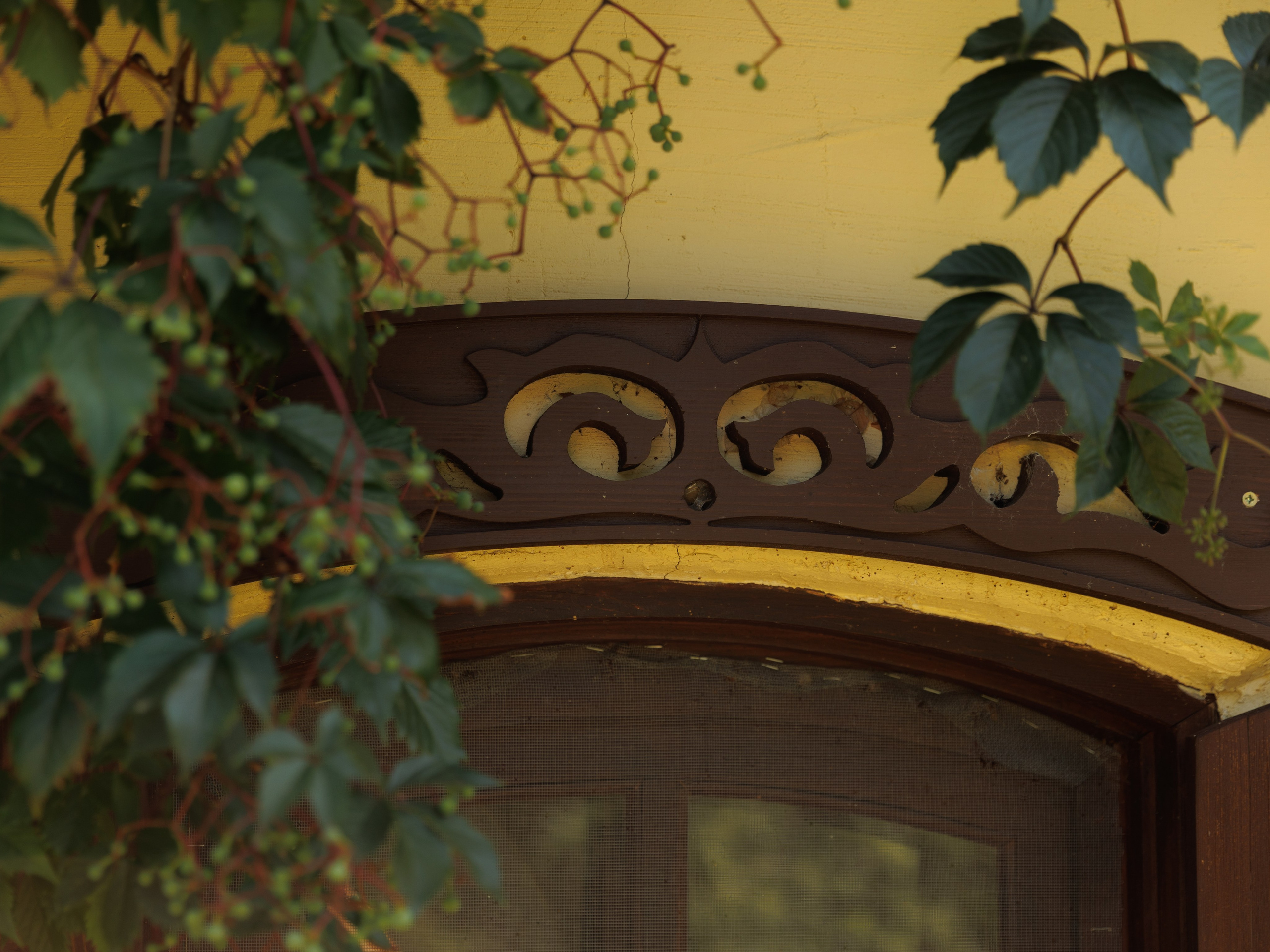 Артем и Анастасия. Фотограф