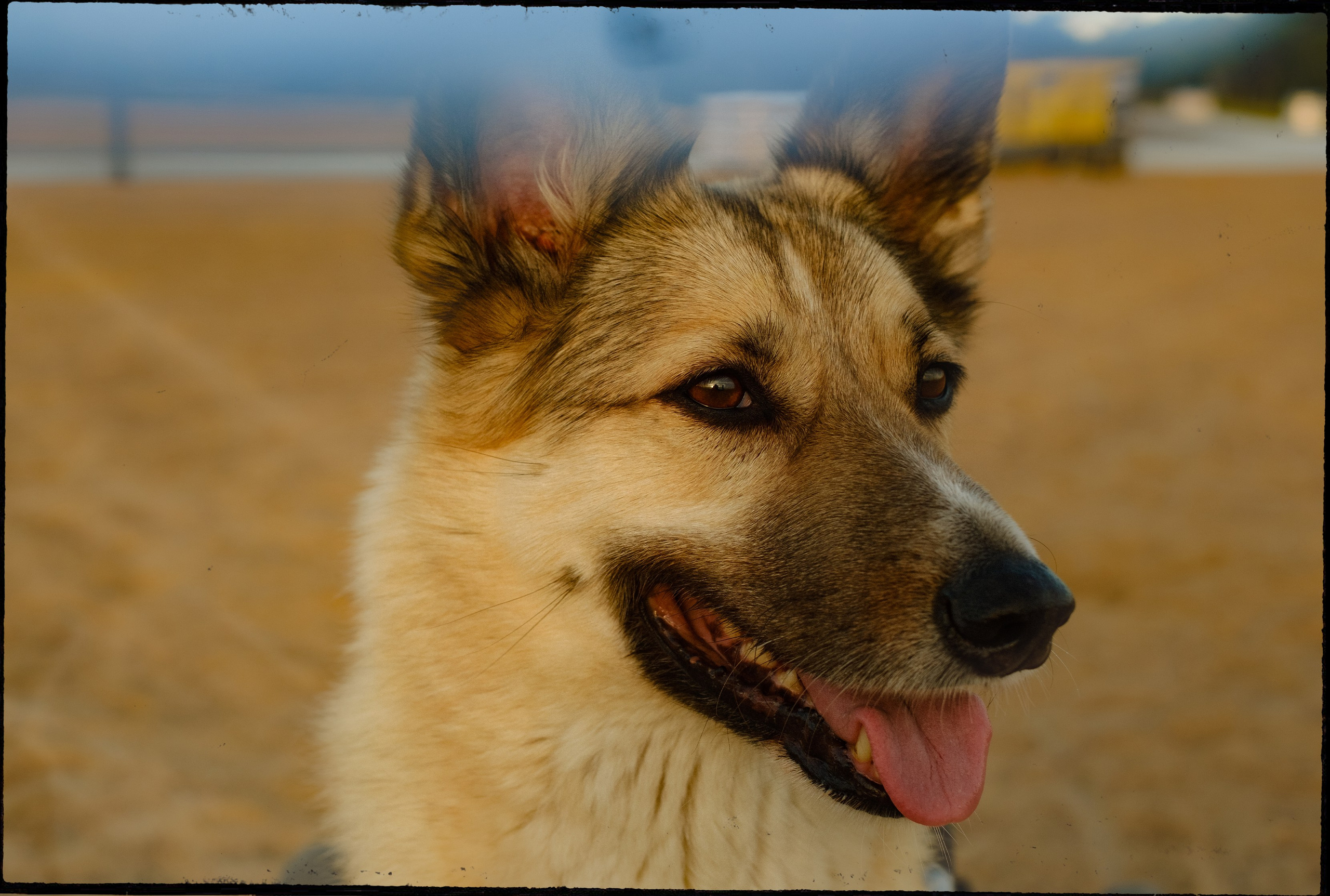 ФОТО. Фотохудожник и видеограф в Петербурге Валерия Кондаурова