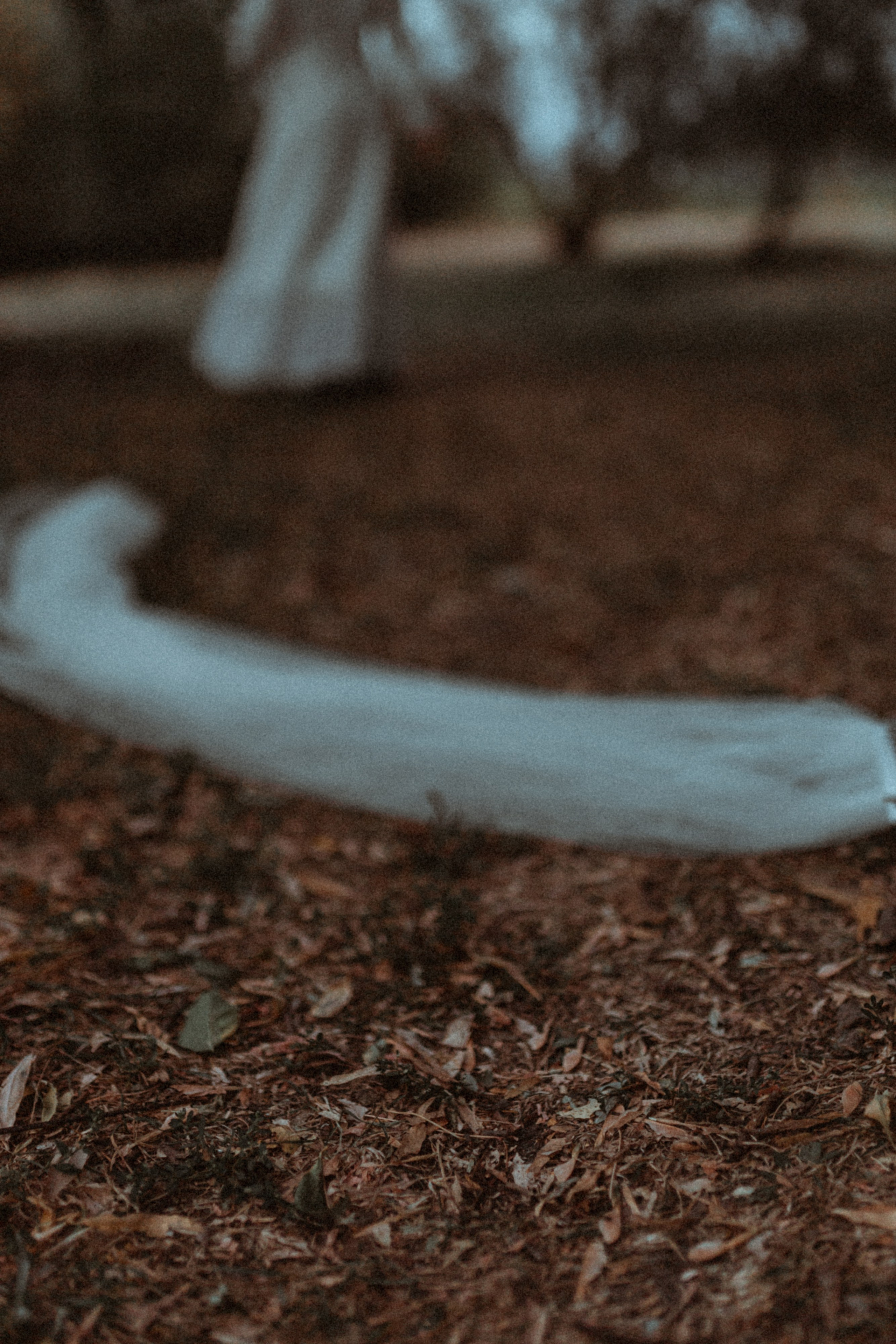 Дарина. Семейный фотограф Губкин/Старый Оскол