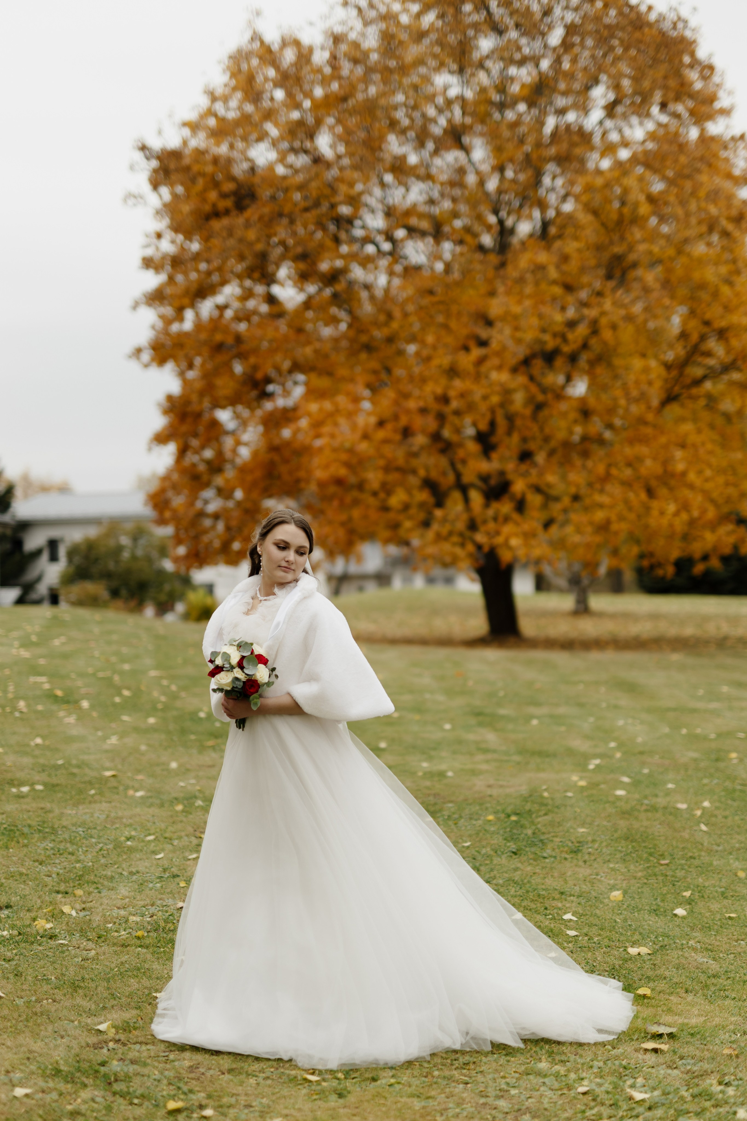 Свадьба Даниила и Виктории. Фотограф Кольчугино/Владимир/Москва Елизавета Иода