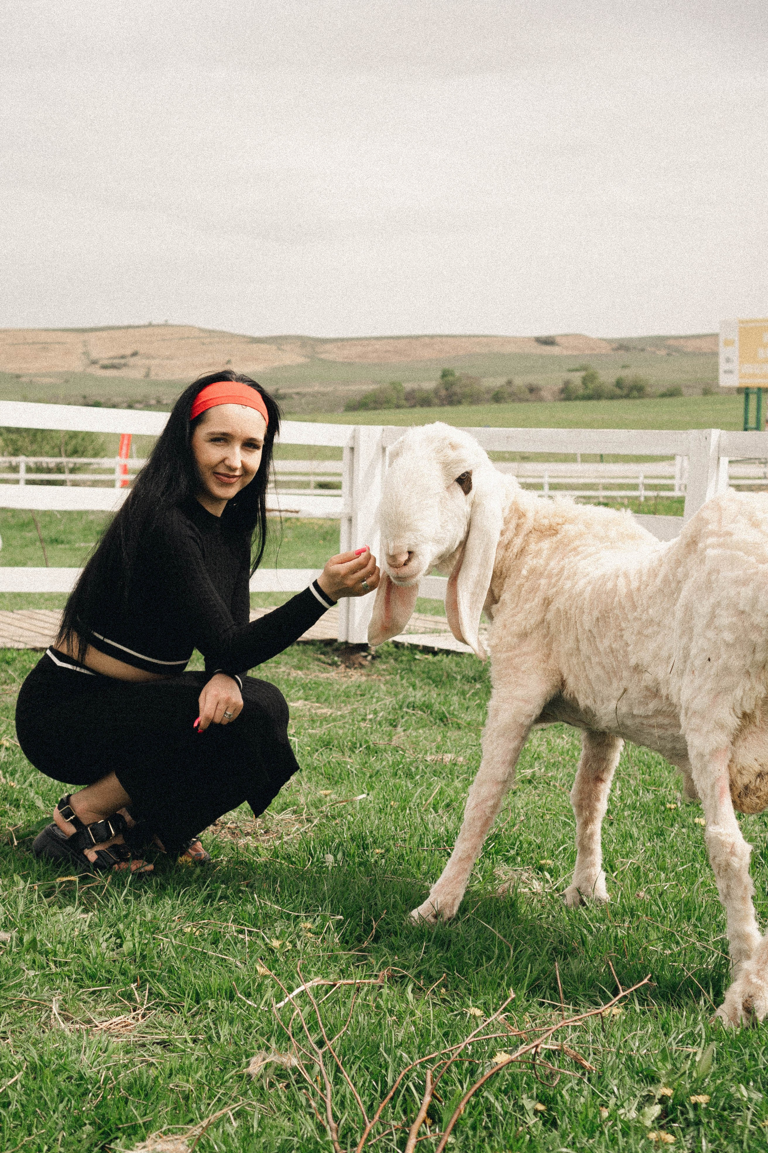 Ферма Альпак. Профессиональный фотограф, Санкт-Петербург — Виктория Богомолова