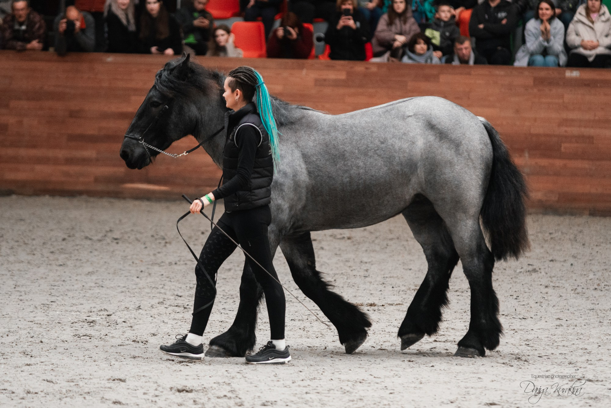 8-я международная выставка Конная Россия. Конный фотограф Куракина Дарья • Фотосессии с лошадьми