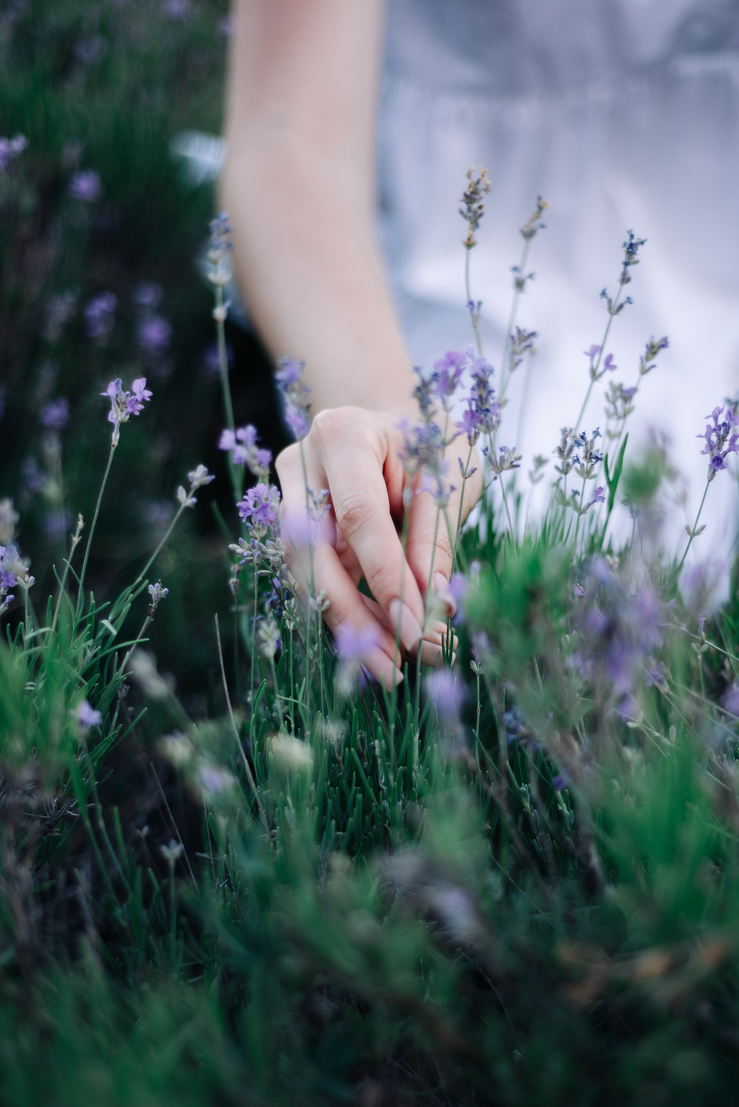 Вера. Дмитрий Шалыгин — Ваш фотограф в Севастополе и Крыму