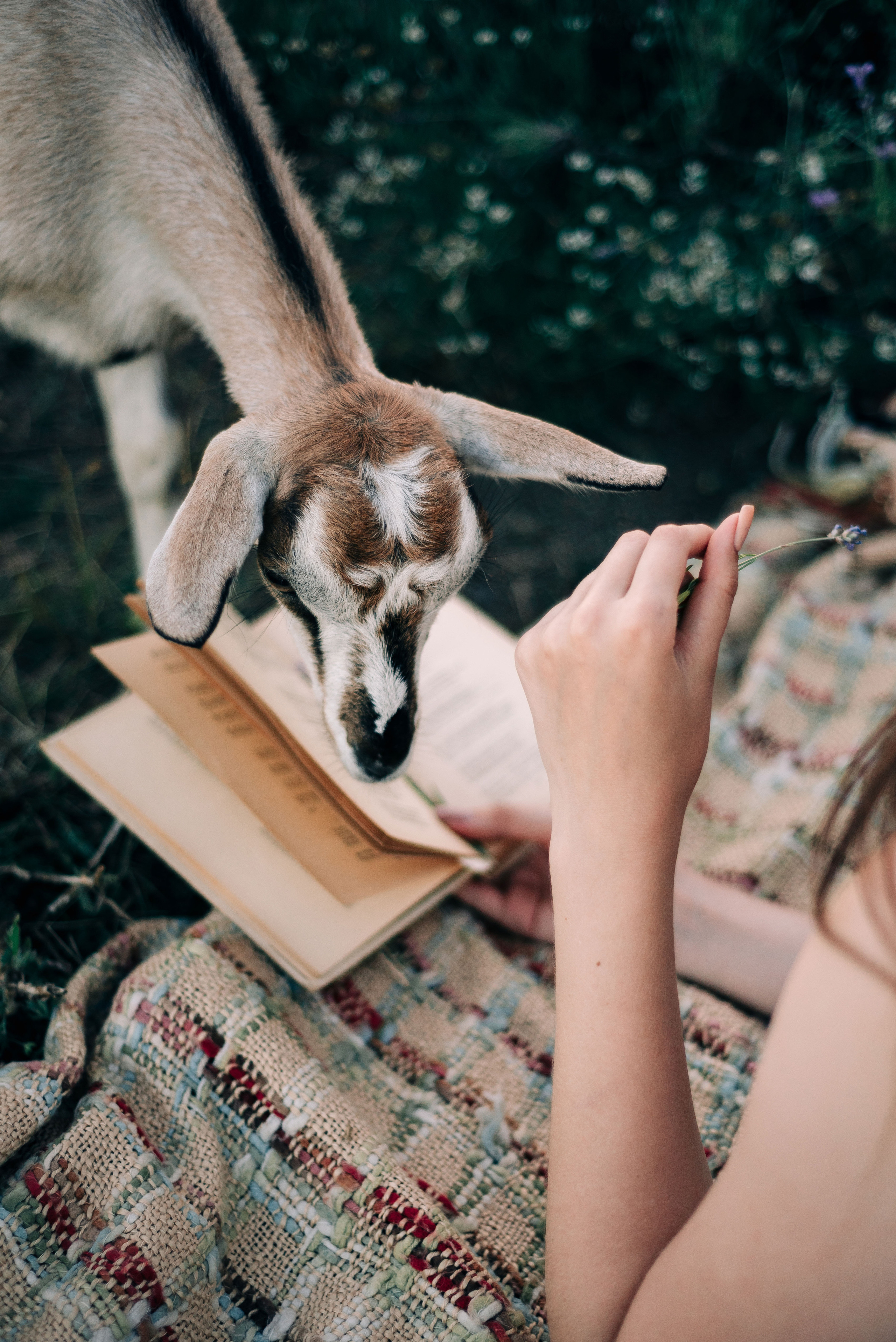 Вера. Дмитрий Шалыгин — Ваш фотограф в Севастополе и Крыму