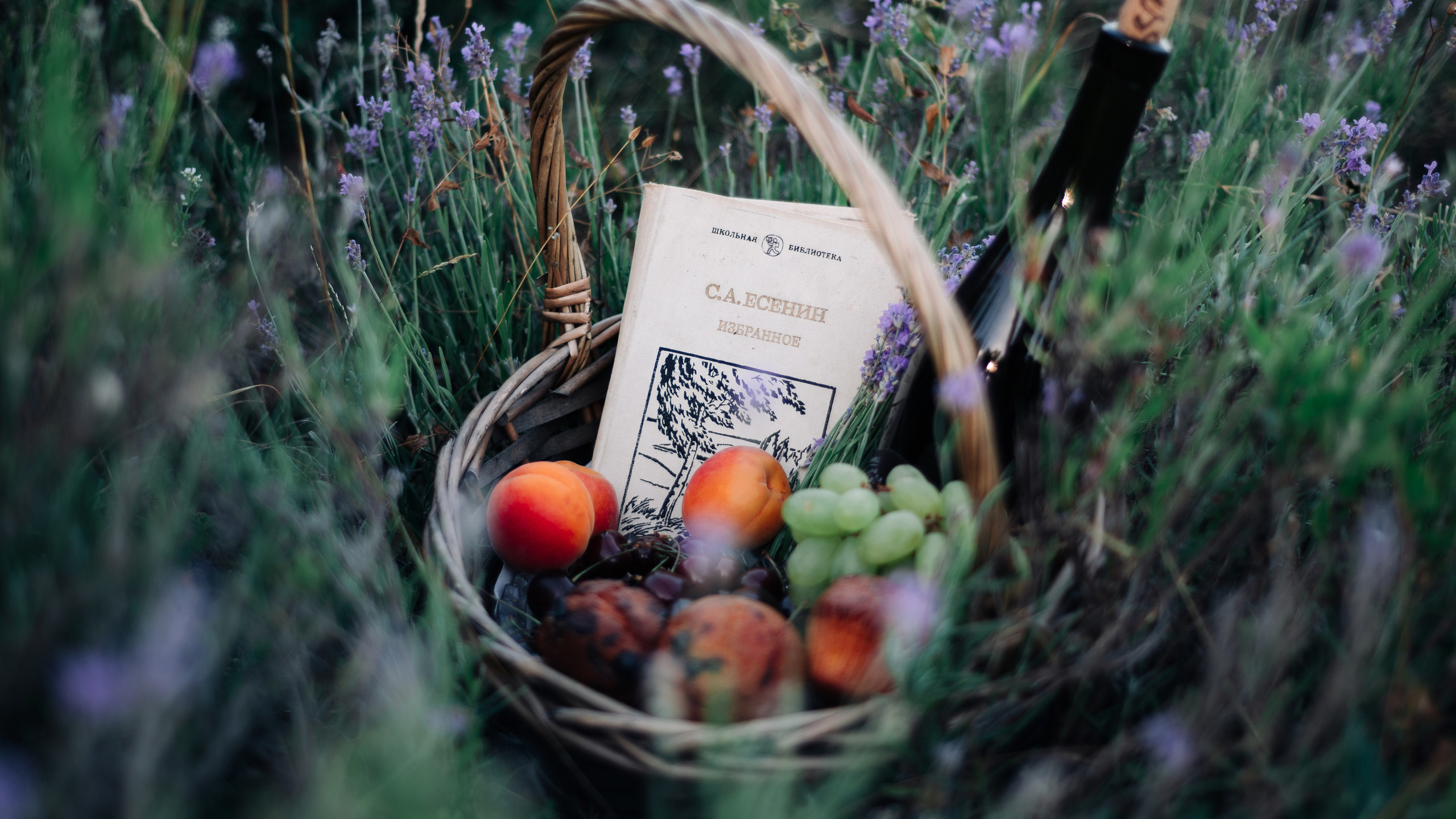 Вера. Дмитрий Шалыгин — Ваш фотограф в Севастополе и Крыму