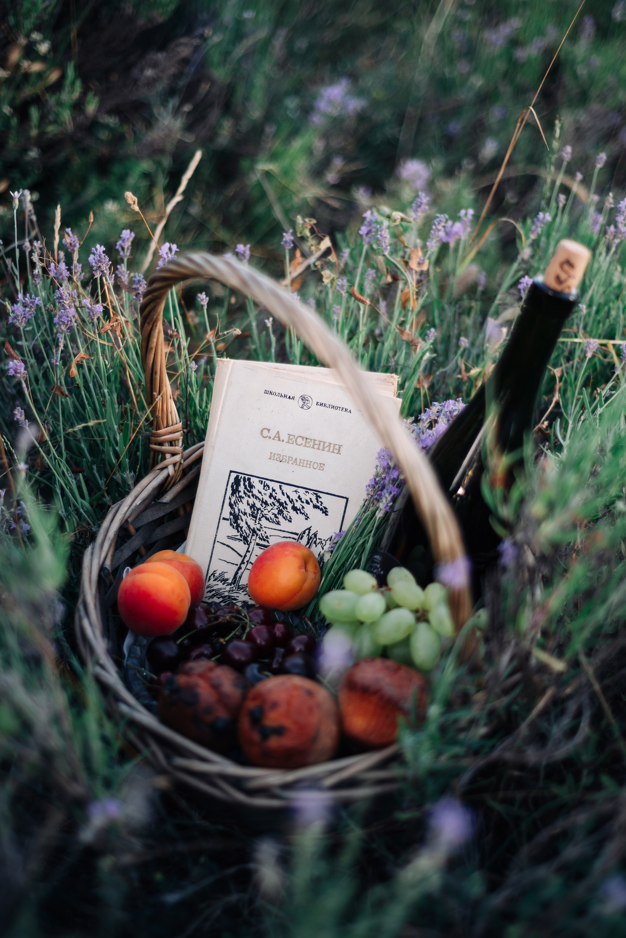 Вера. Дмитрий Шалыгин — Ваш фотограф в Севастополе и Крыму