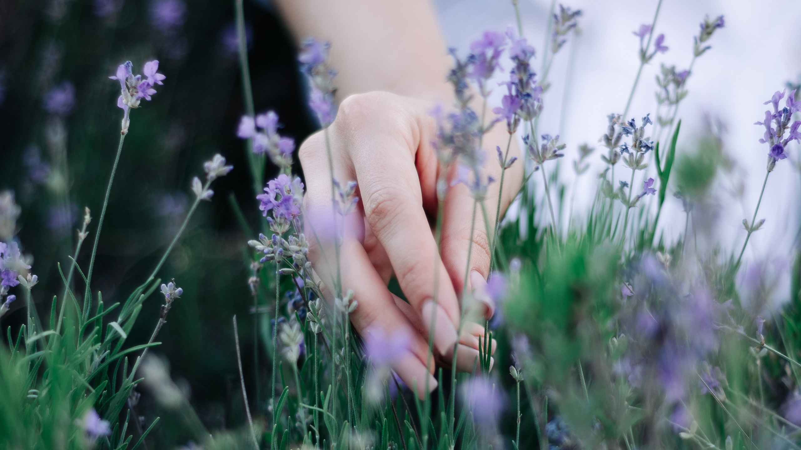 Вера. Дмитрий Шалыгин — Ваш фотограф в Севастополе и Крыму