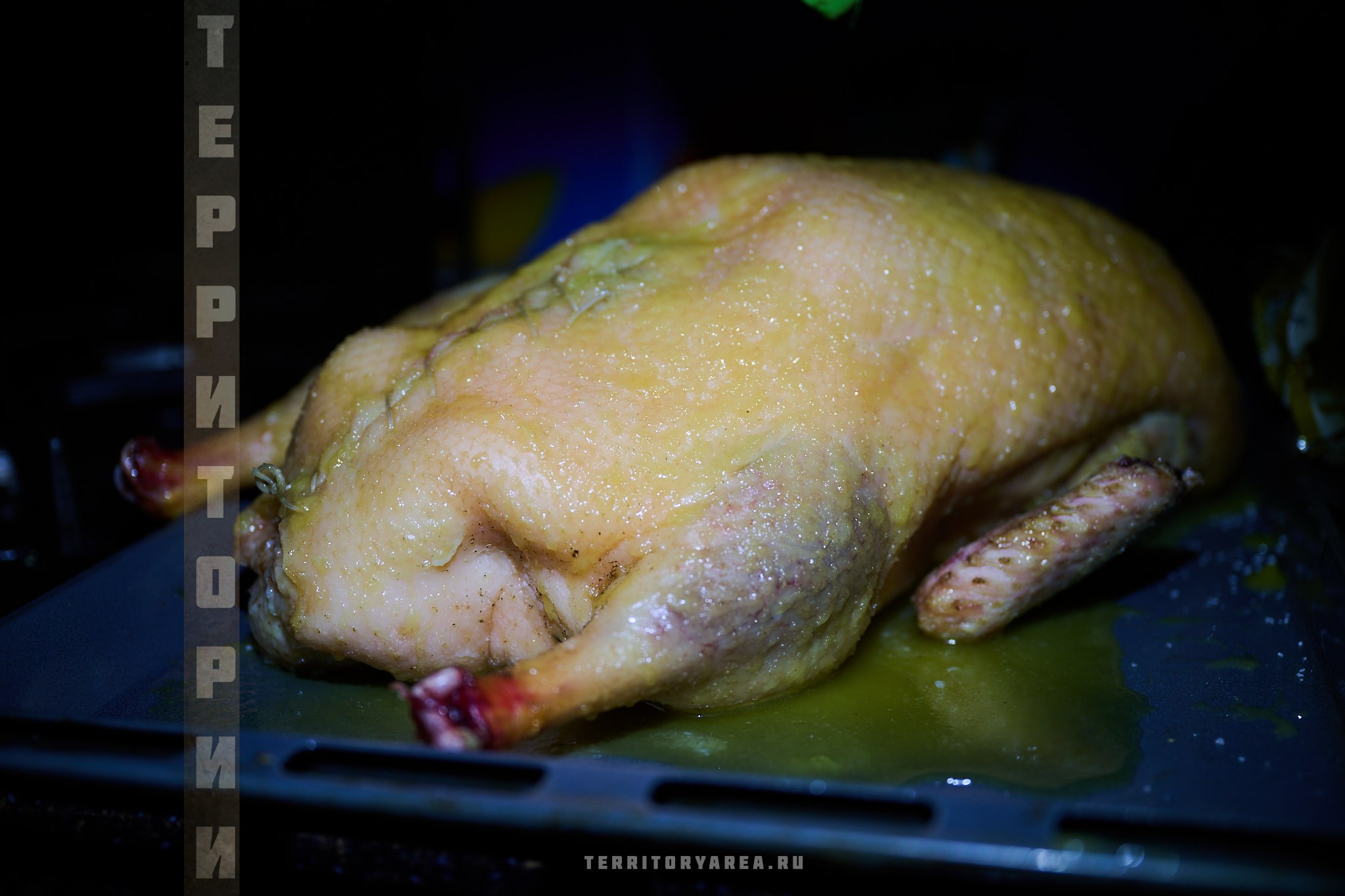 Открытки фотопроекта «Территории». Фотопроект «Территории»