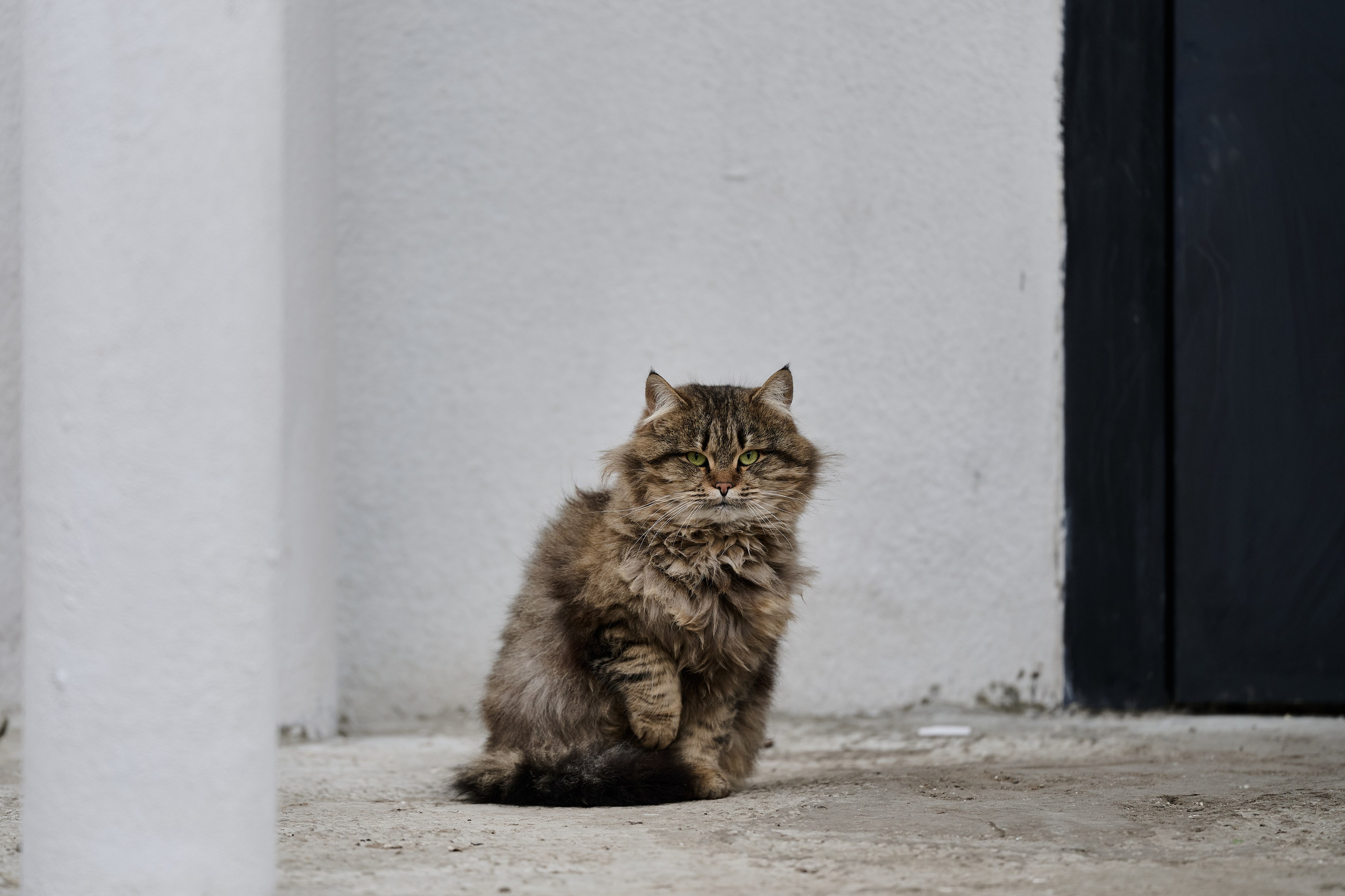 Рубежное. Луганская область. Фотопроект «Территории»