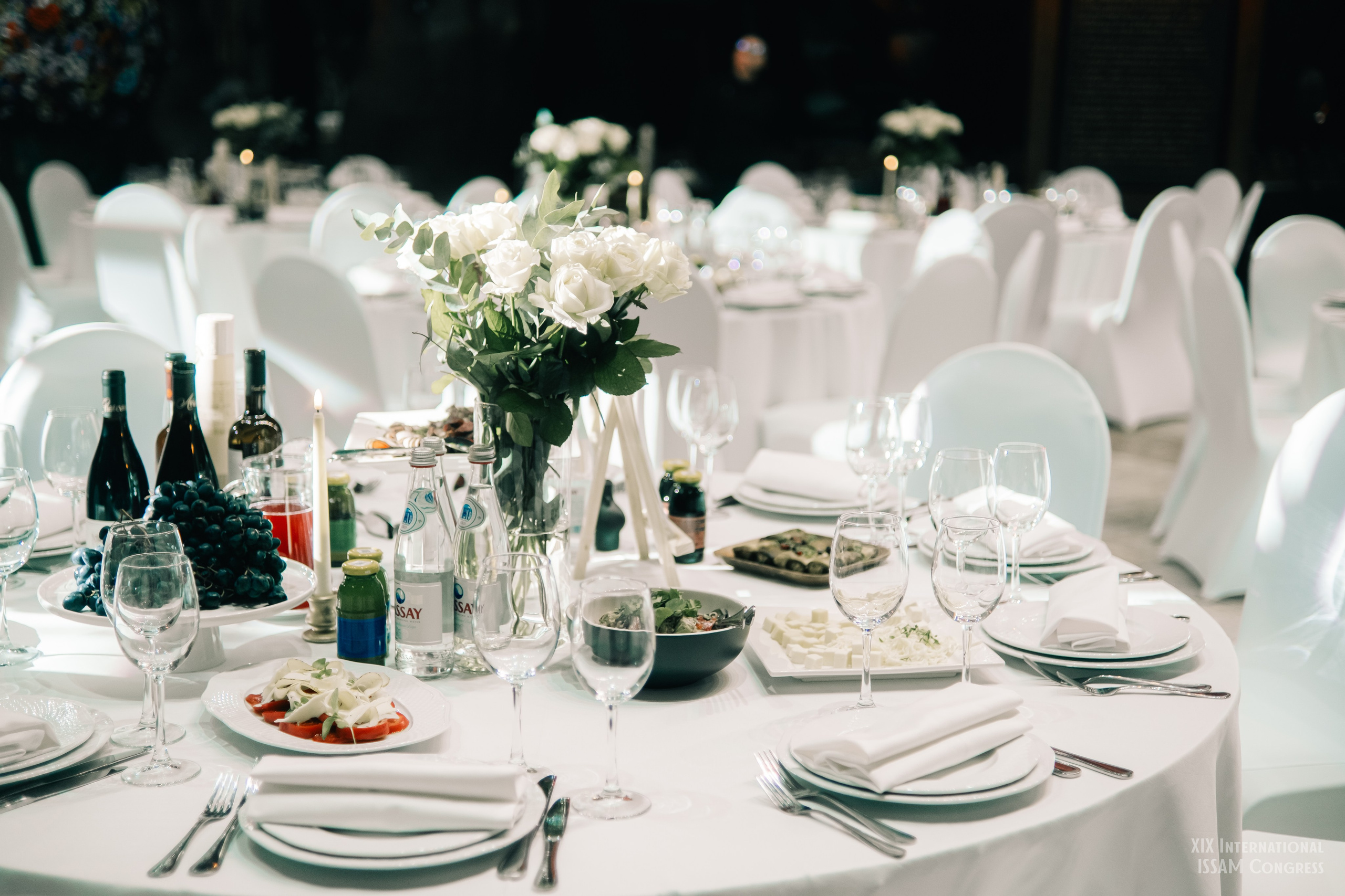 Конгресс ISSAM 2025 г.Москва. Фотограф Валерия Кононова