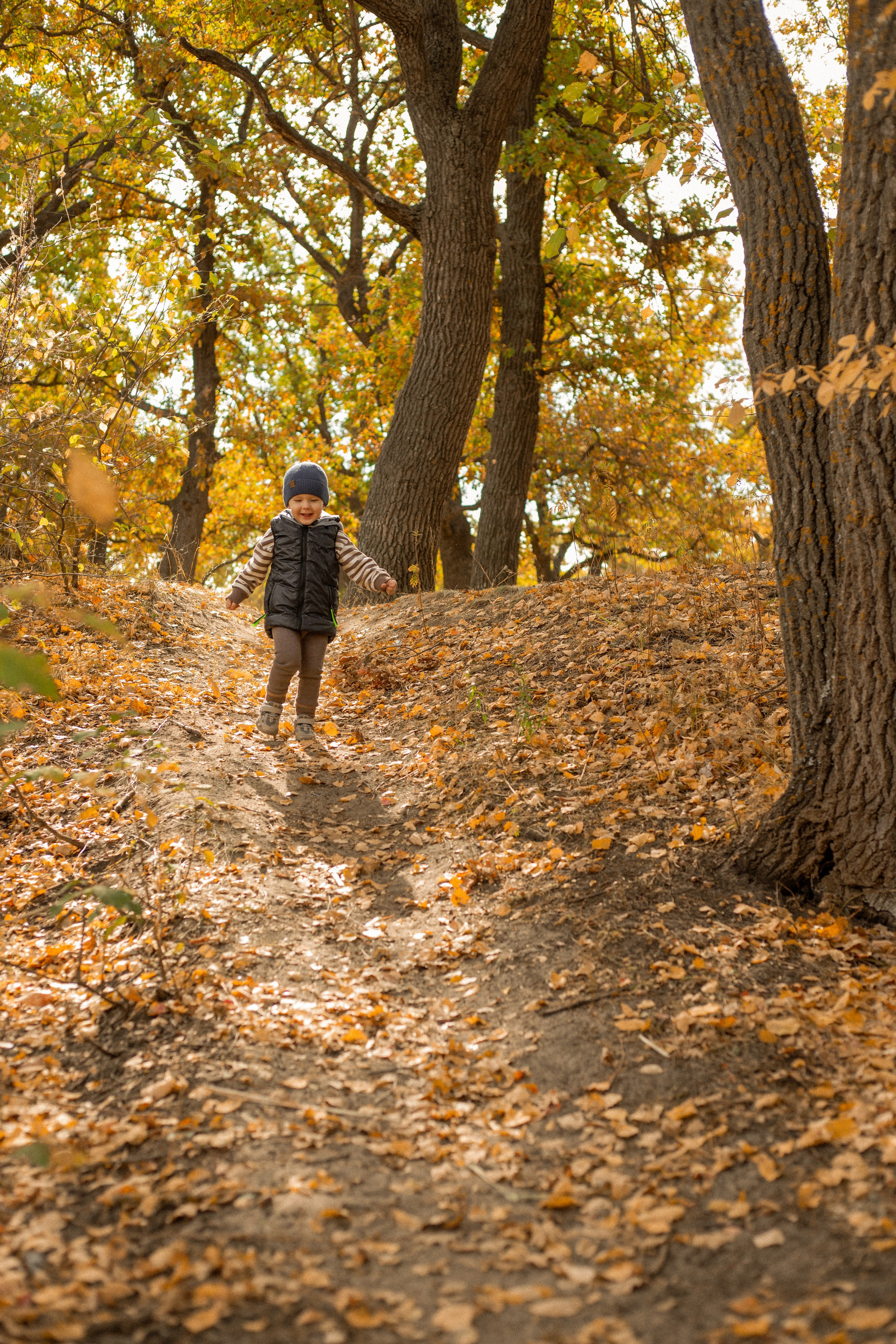Осенняя история Миши. Фотограф Акимова Дарья Санкт-Петербург, Михайловка