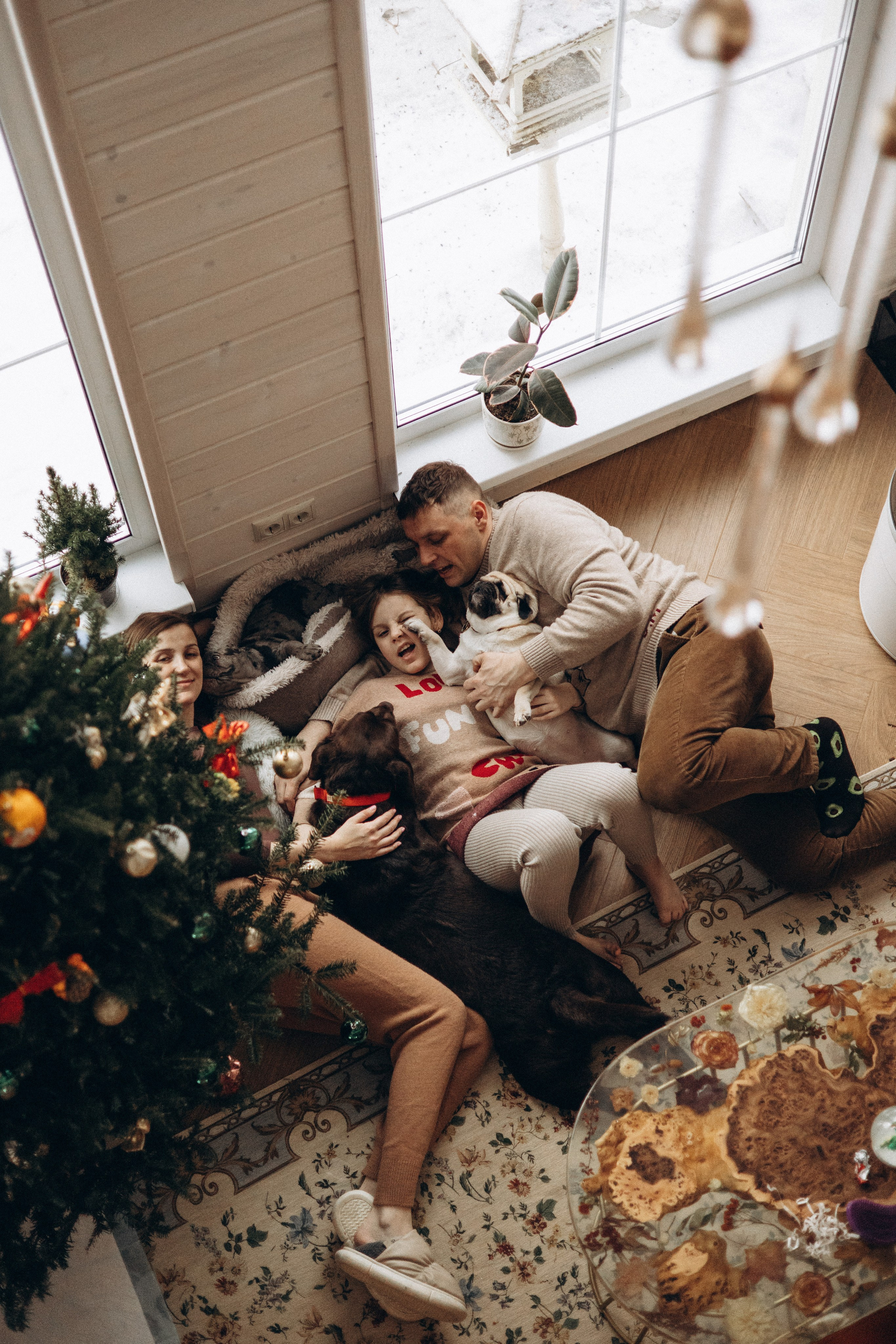 Семейная для Ксюши. Фотограф — Анималист | Санкт-Петербург