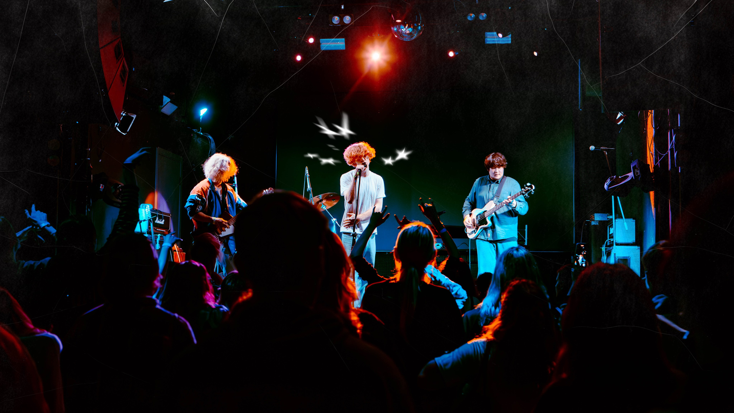 Номер скрыт [Pravda Club]. Фотограф Москва