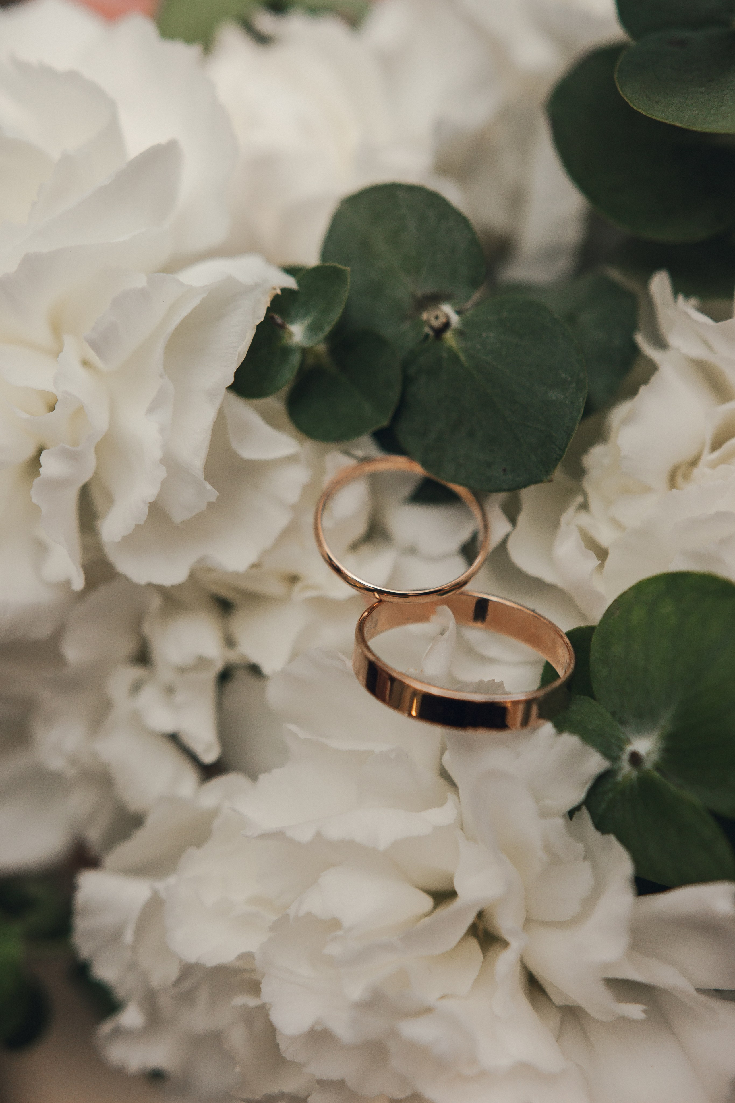 Надежда и Николай. Фотограф Новосибирск