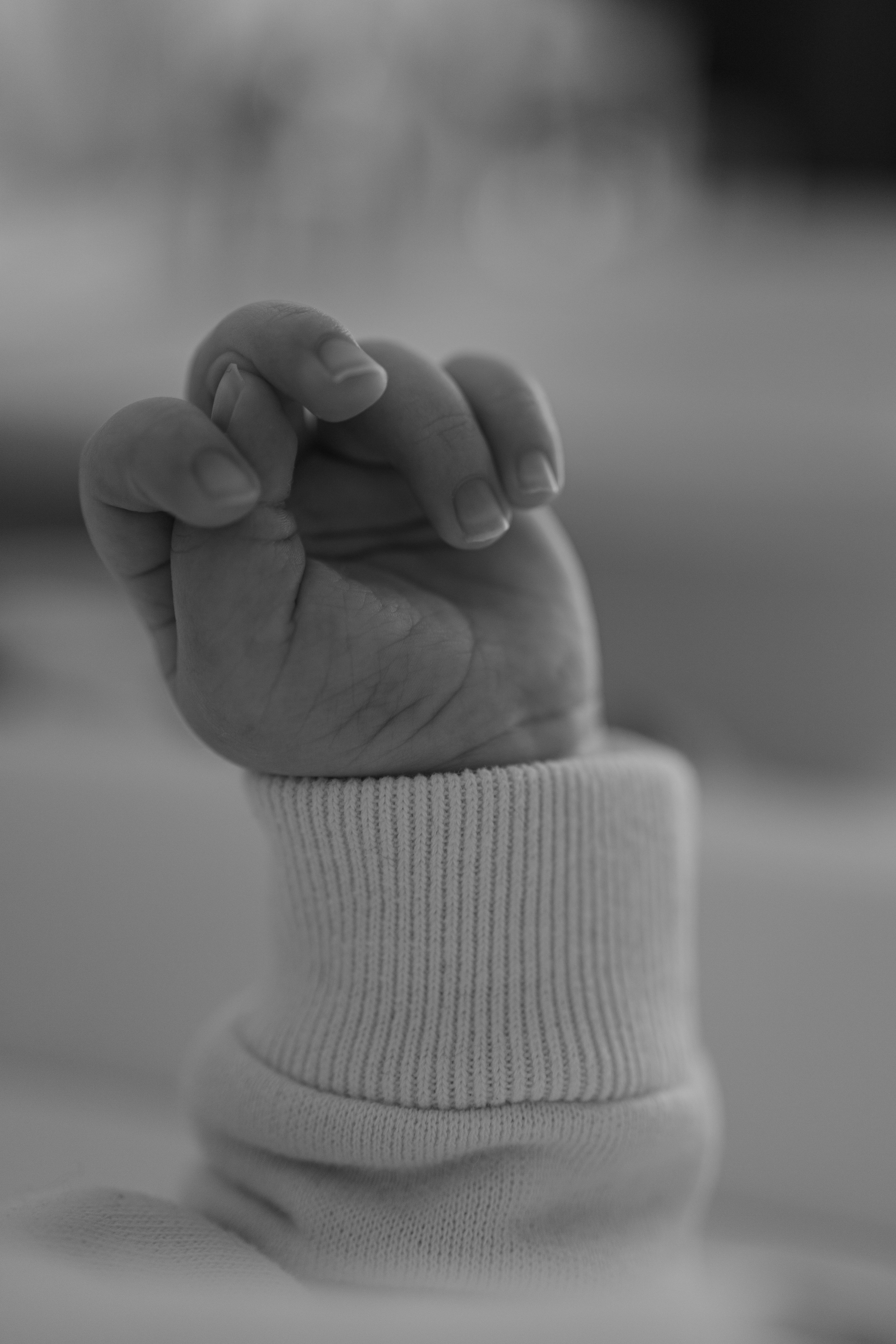 Артур, Лика, Давид. Фотограф беременности и материнства в Москве Мария Менендес-Гонсалес