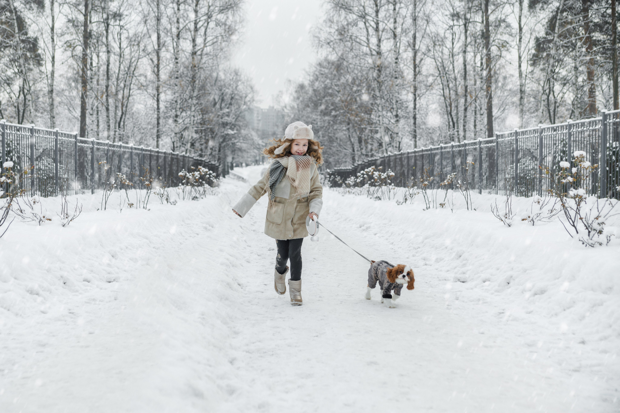 Фотопроект "Снежный"