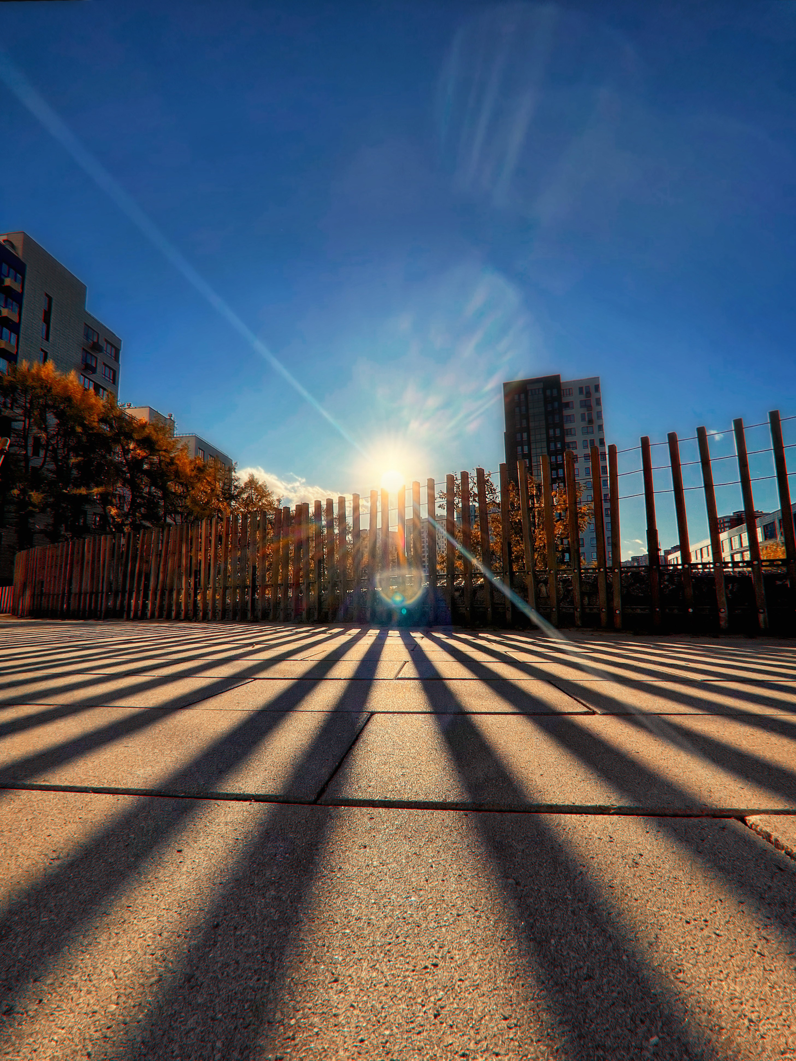 В городе. Фотограф Виктория Субочева