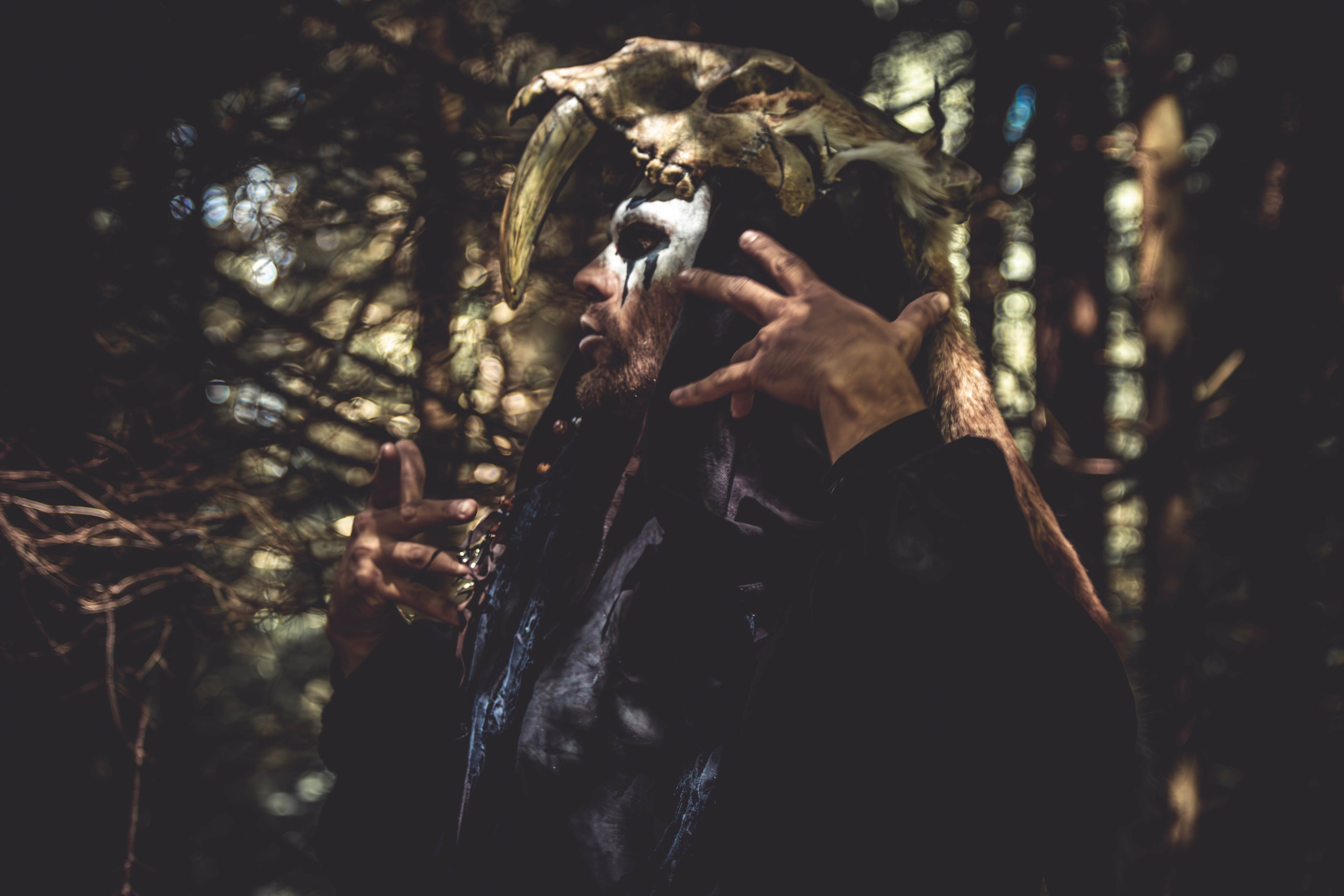 Презентация альбома группы YARuGA. Фотограф анималист — Тула, Москва