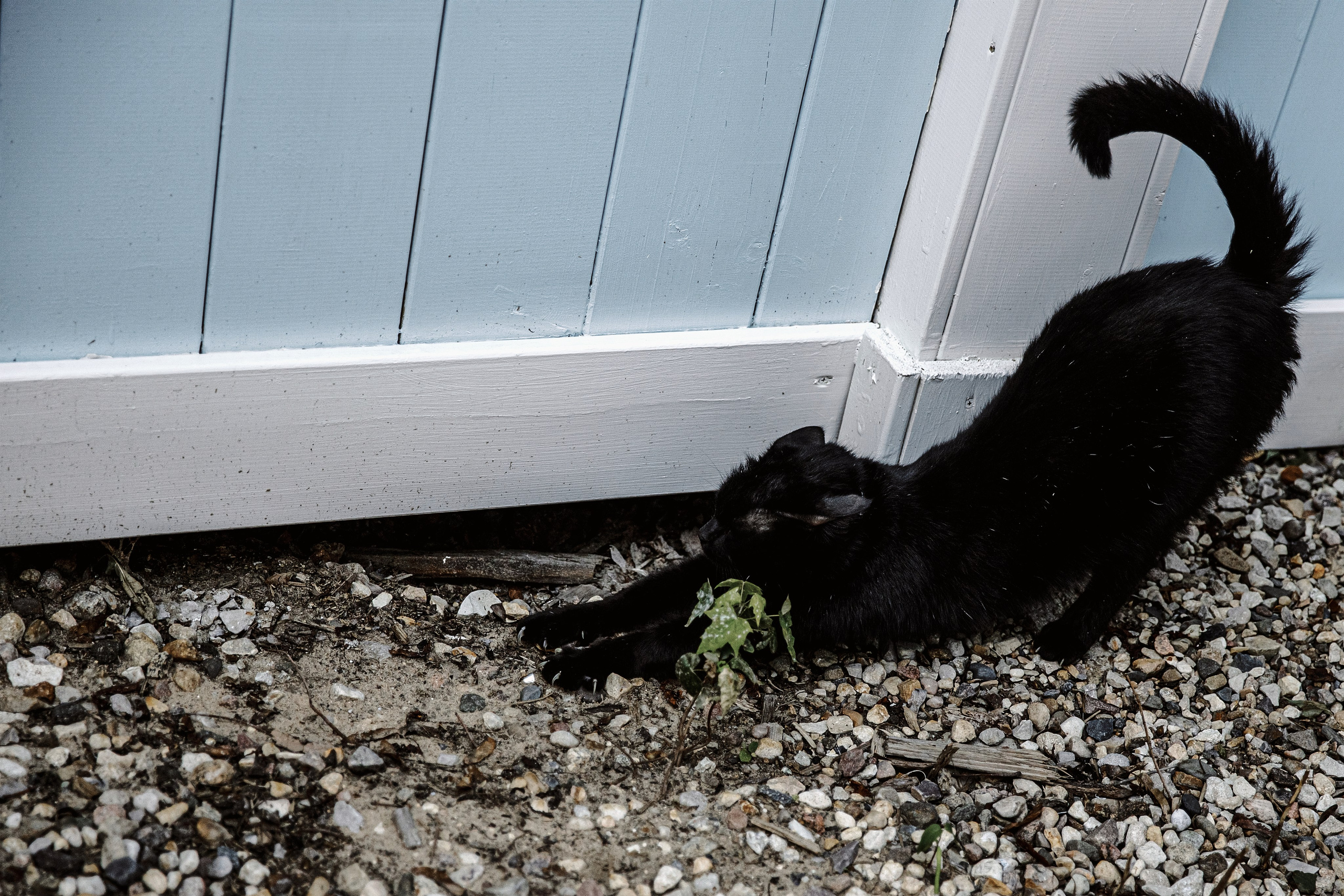 Свадьба. Anastasia Jes | Свадебный фотограф
