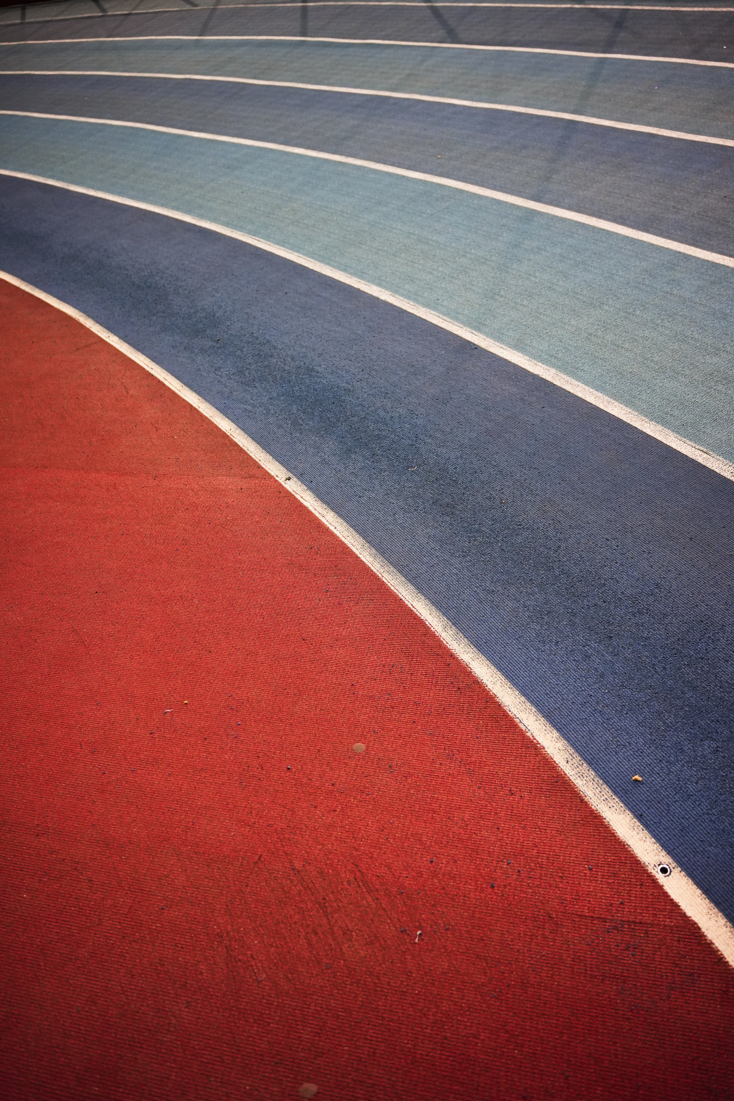 Sport-Art. Анна Жукова — Режиссёр кино и цирка, сценарист, фотограф