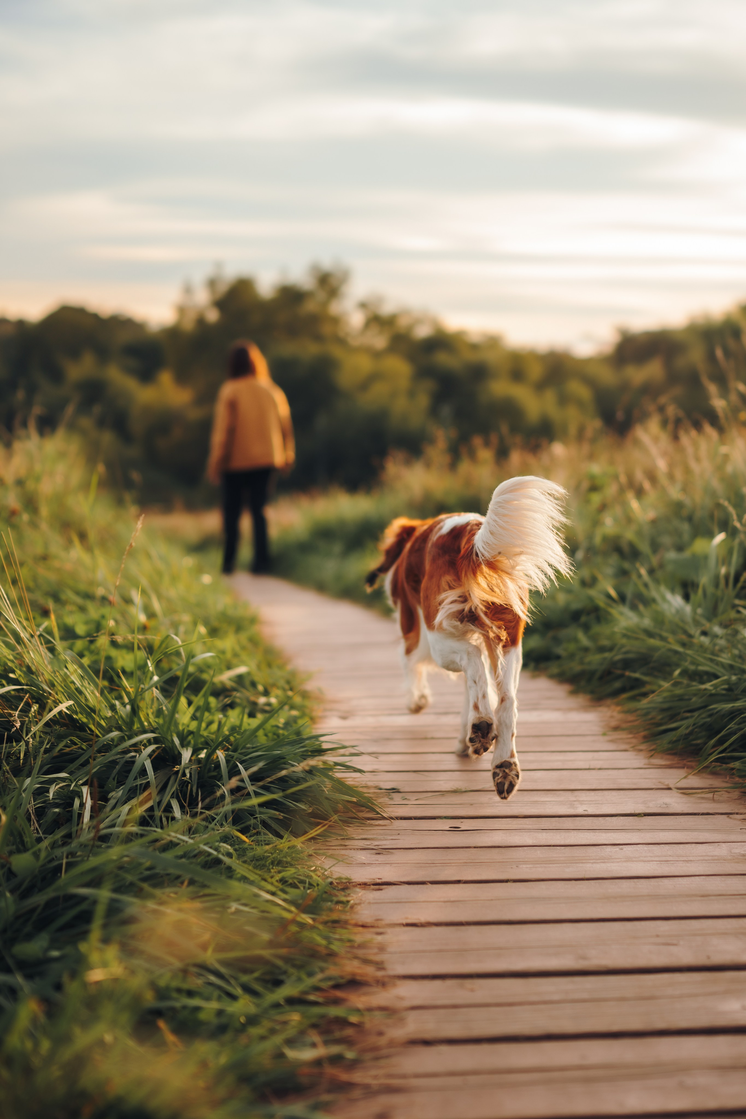 Семейная фотосессия с питомцем. Семейный фотограф анималист Ананьева Мария — Москва