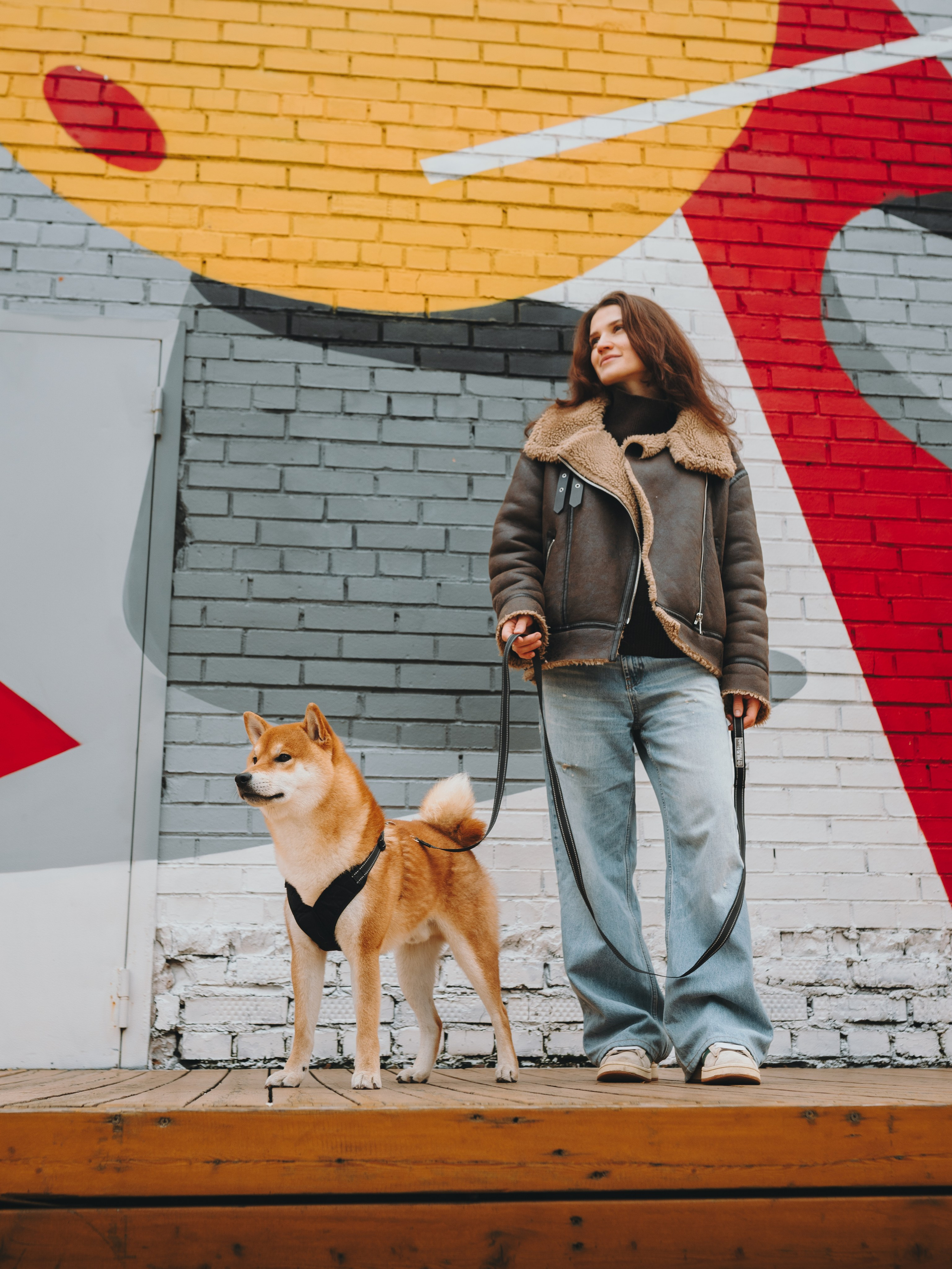 Pawsitive. Семейный фотограф анималист Ананьева Мария — Москва