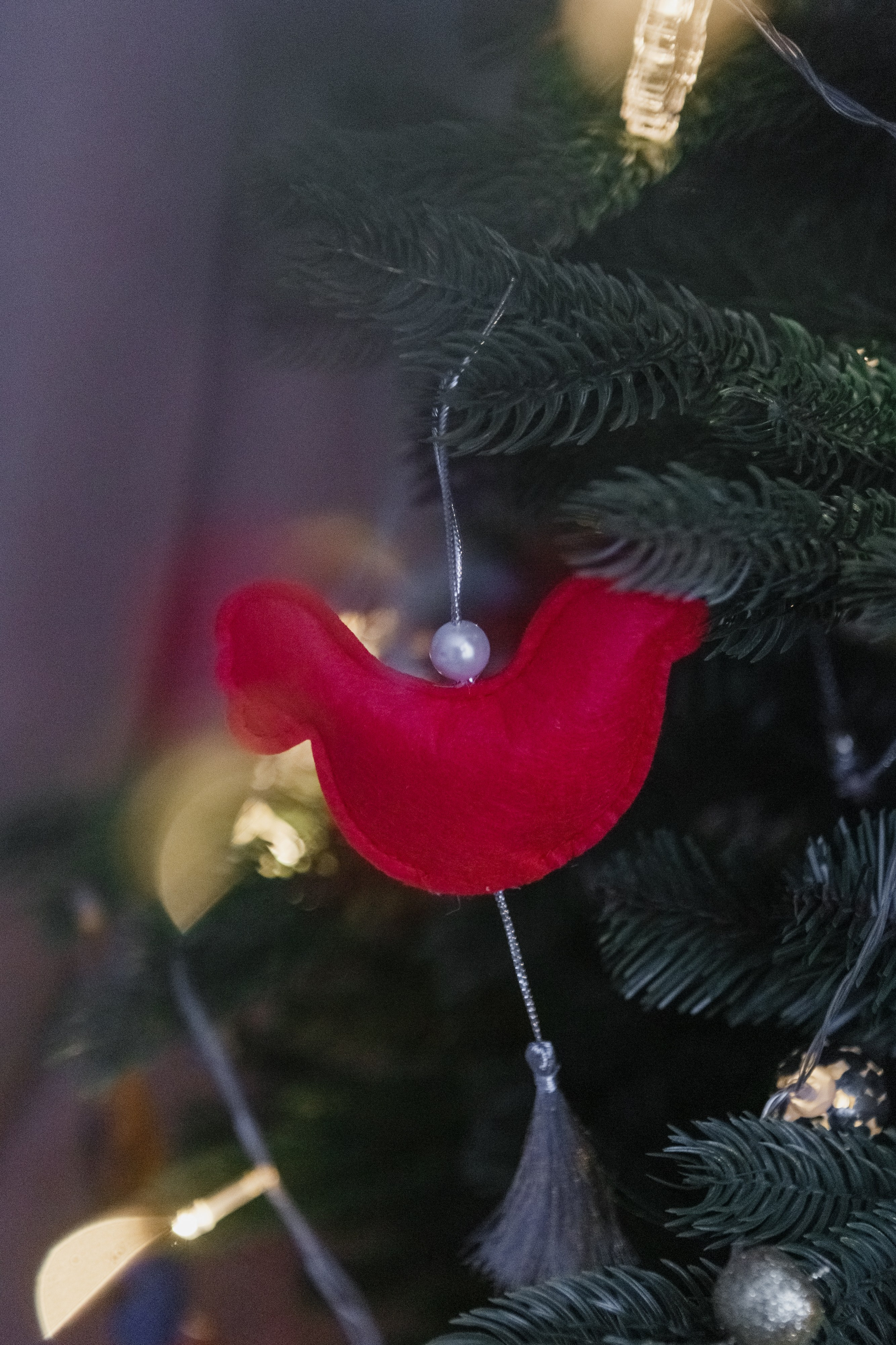 Пулатовы. Семейный и портретный фотограф в Санкт-Петербурге