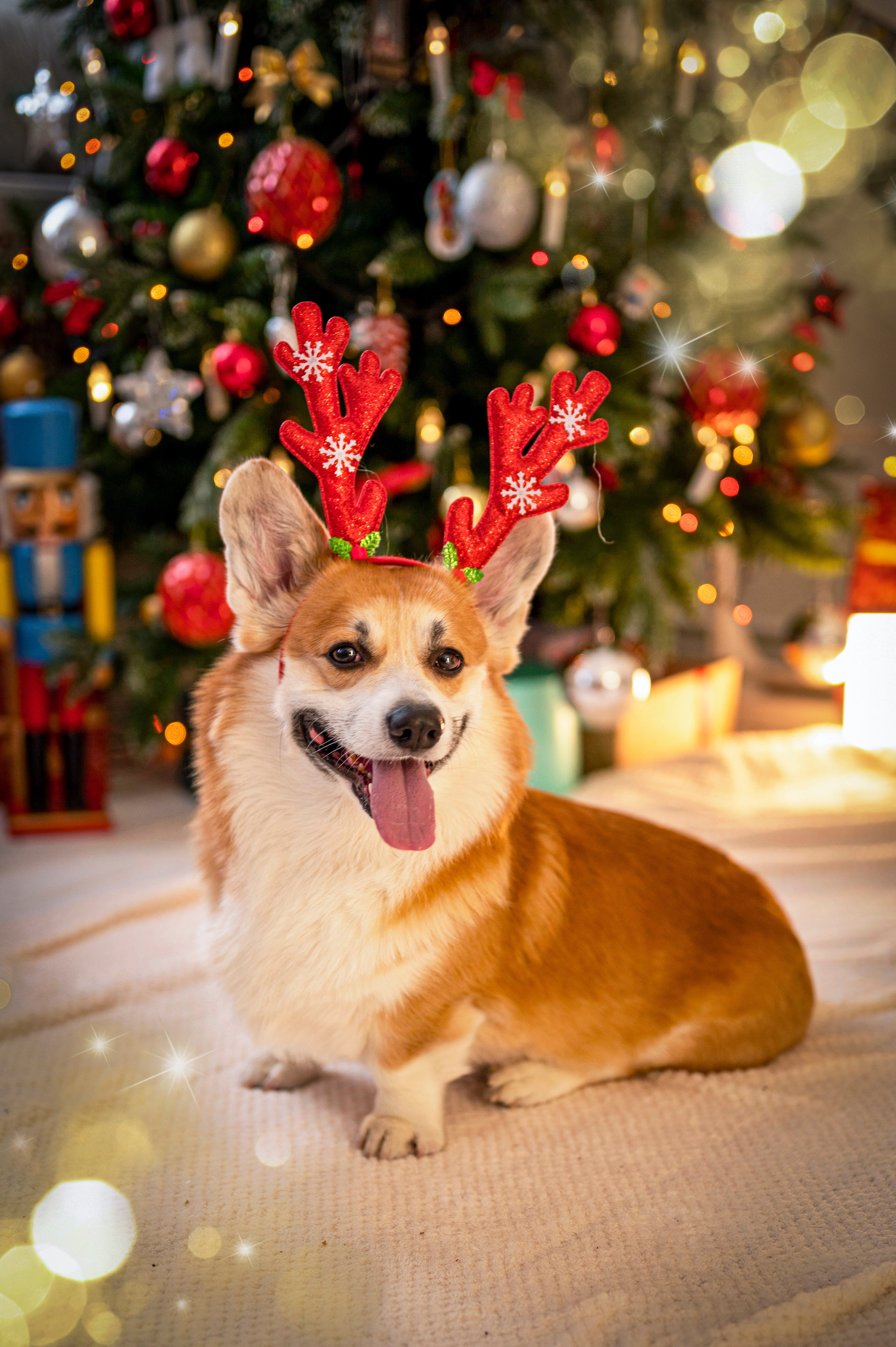 Heppi. Семейный и детский фотограф в Канске и Канском р-не, Красноярск и