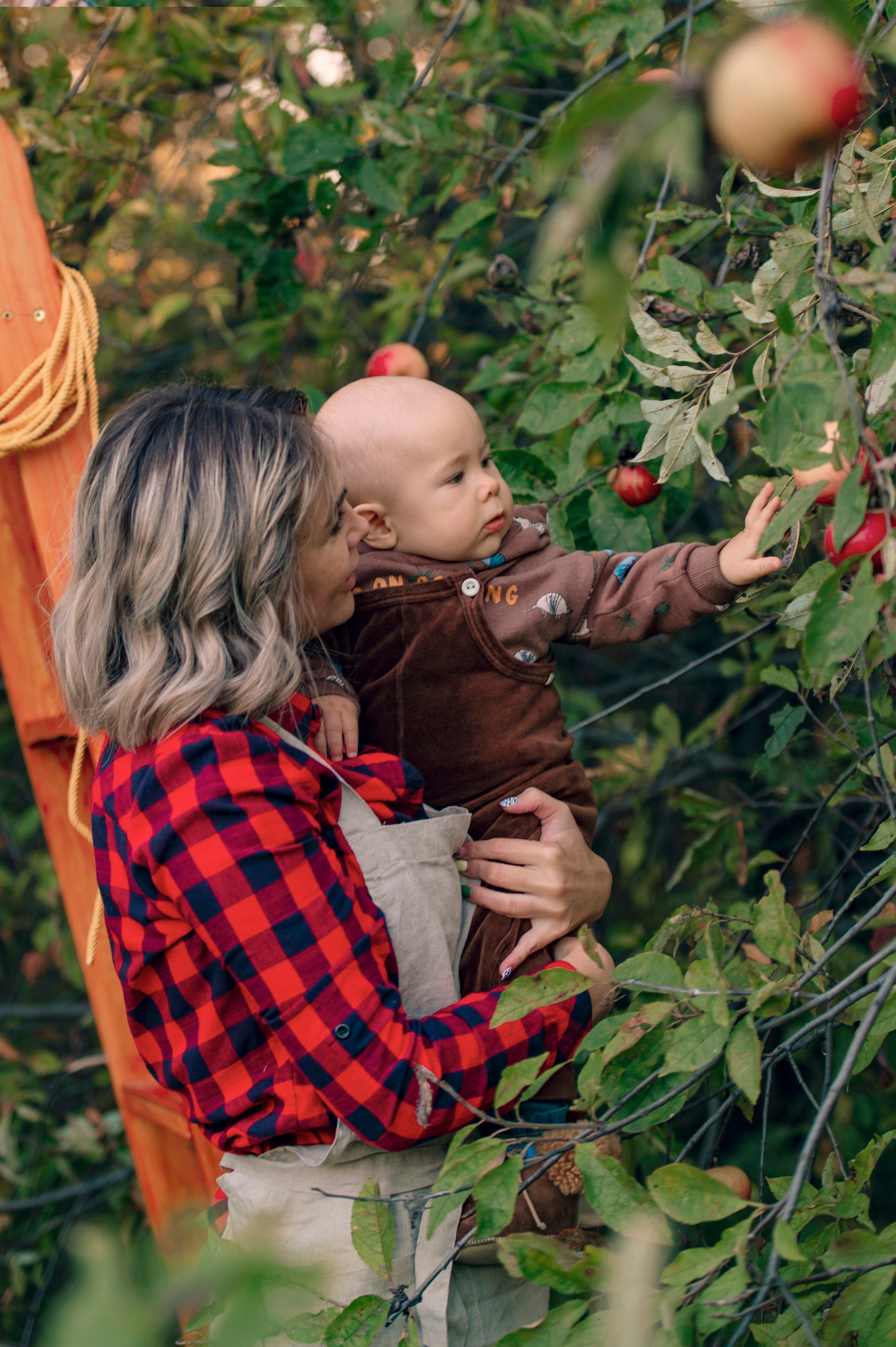 Яблоневый сад. Семейный и детский фотограф в Канске и Канском р-не, Красноярск и