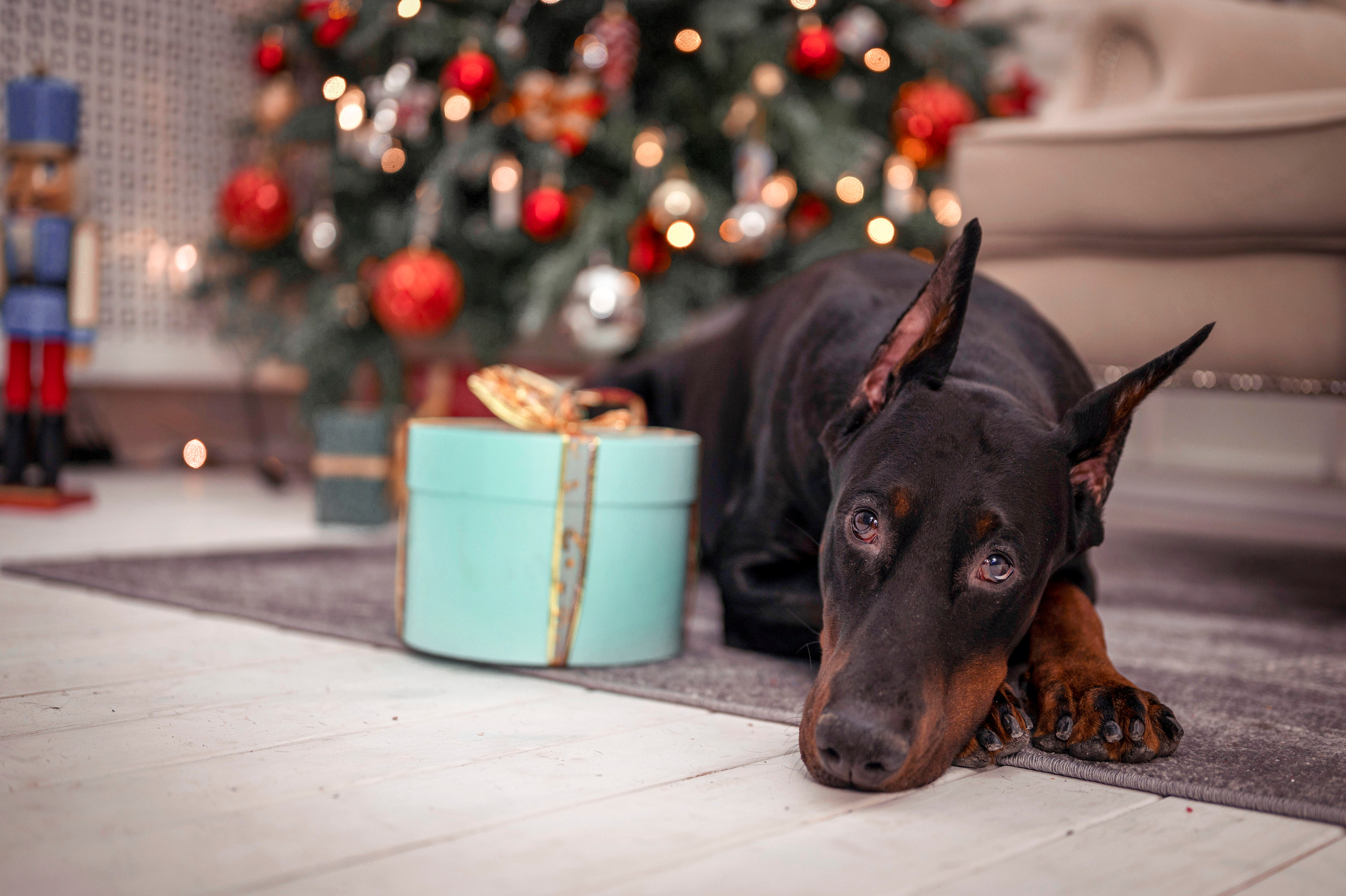 Рождество. Семейный и детский фотограф в Канске и Канском р-не, Красноярск и