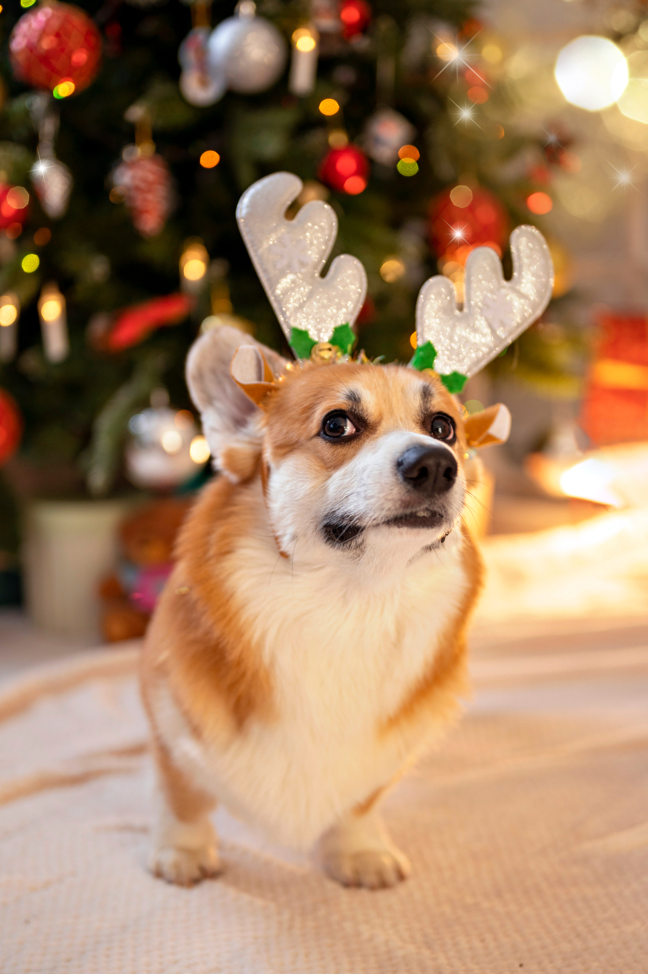 Heppi. Семейный и детский фотограф в Канске и Канском р-не, Красноярск и