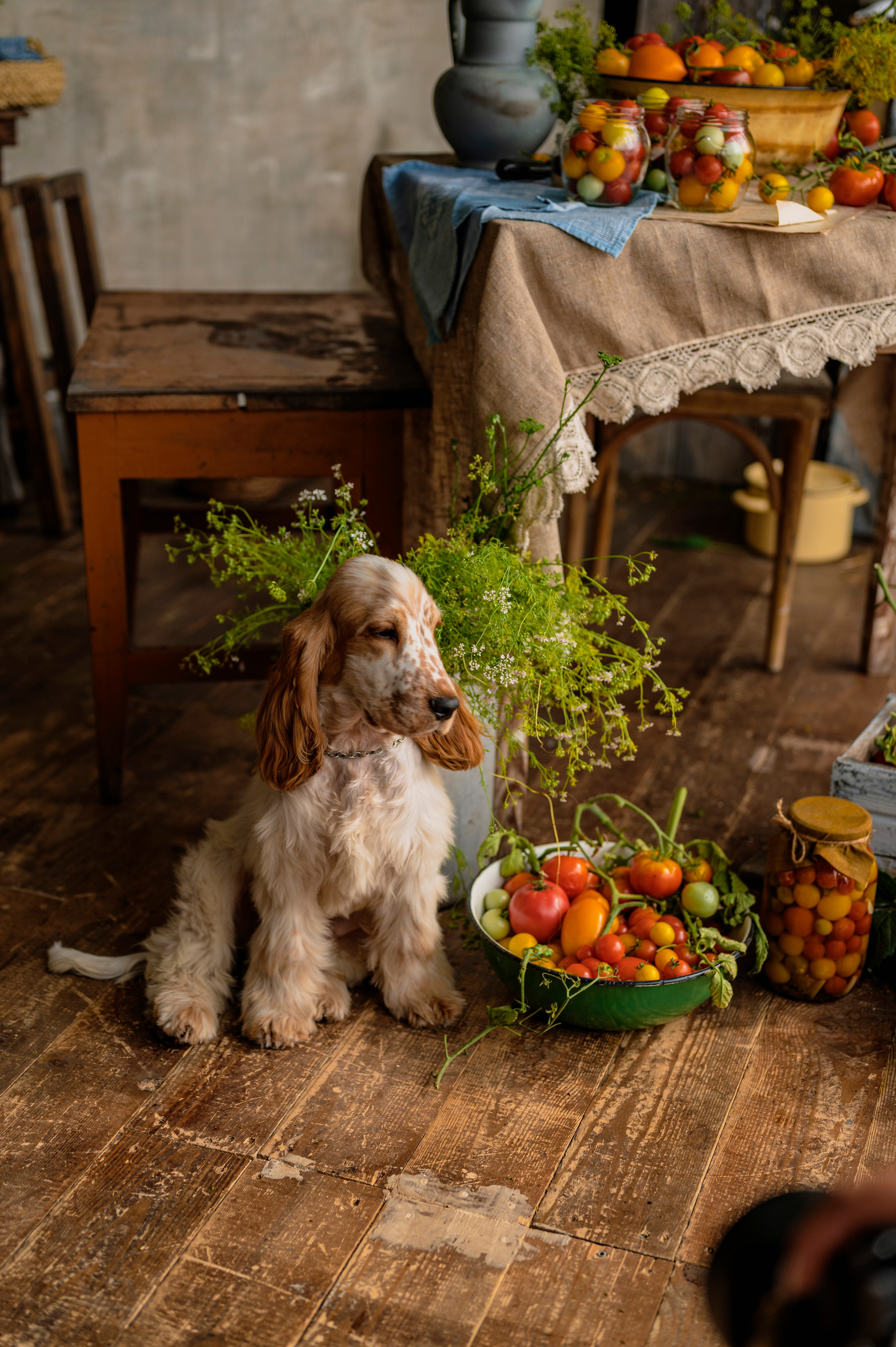 С сестрой. Семейный и детский фотограф в Канске и Канском р-не, Красноярск и