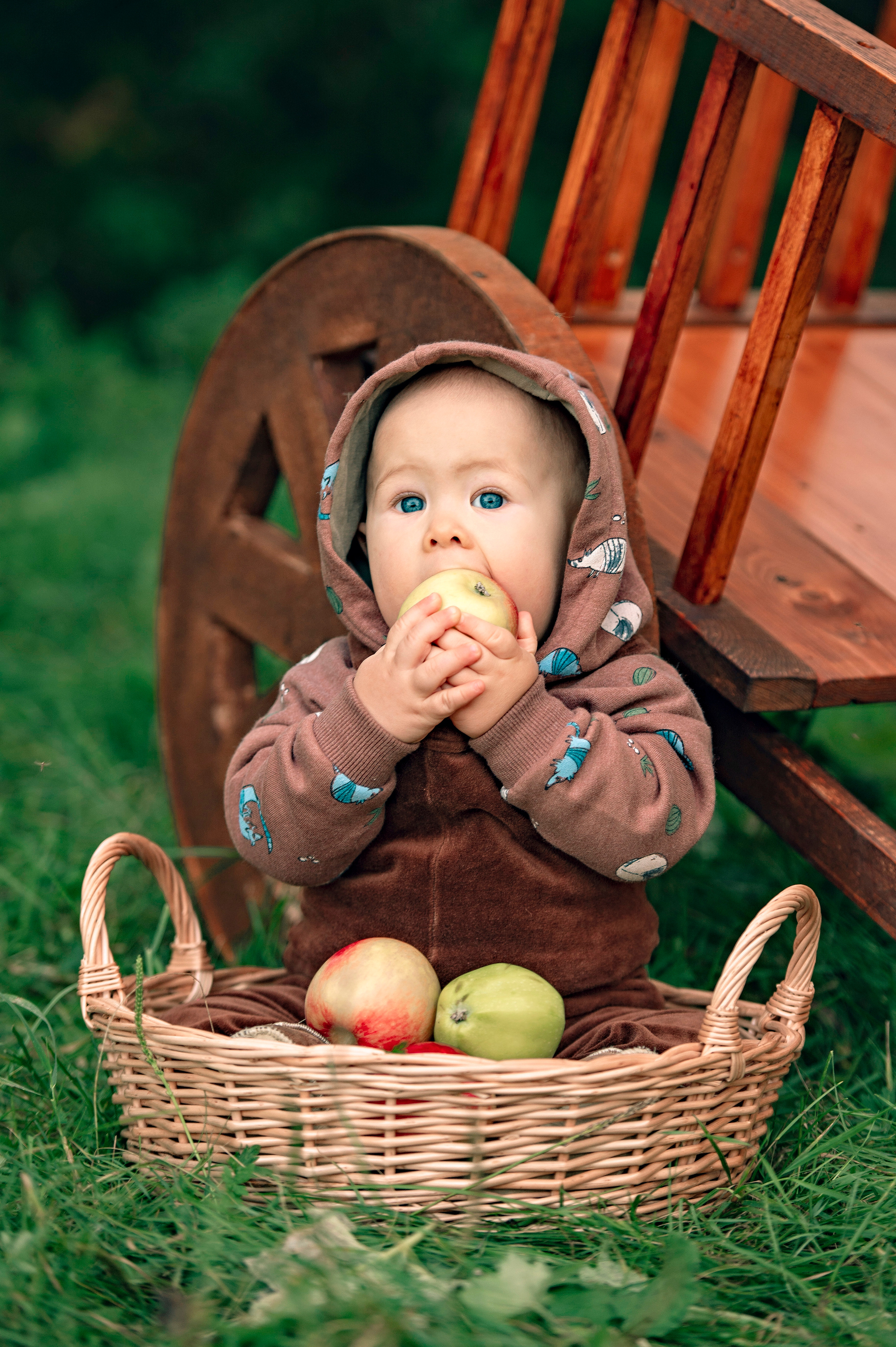 Яблоневый сад. Семейный и детский фотограф в Канске и Канском р-не, Красноярск и